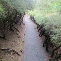 帶廣.真鍋庭園