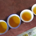 20120627一~四泡金芽茶
