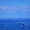2017/05/215墾丁的藍天藍海