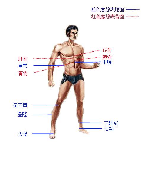遊戲人體圖-從屈原「抽思」論隕歿的巨星－羅賓威廉斯　黃帝內經的人生密碼系列之六	