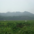 雨中的台九線縱谷區鄉道