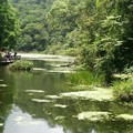 福山植物園-2