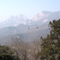 三月登泰山(前山上)