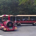 遊客們可以在蓮花山的半上搭乘所謂的“阿里山登山小火車“ 上到觀景台。