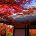 鳶山步道