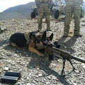 軍人與狗