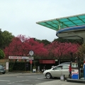 全台灣最美的加油站