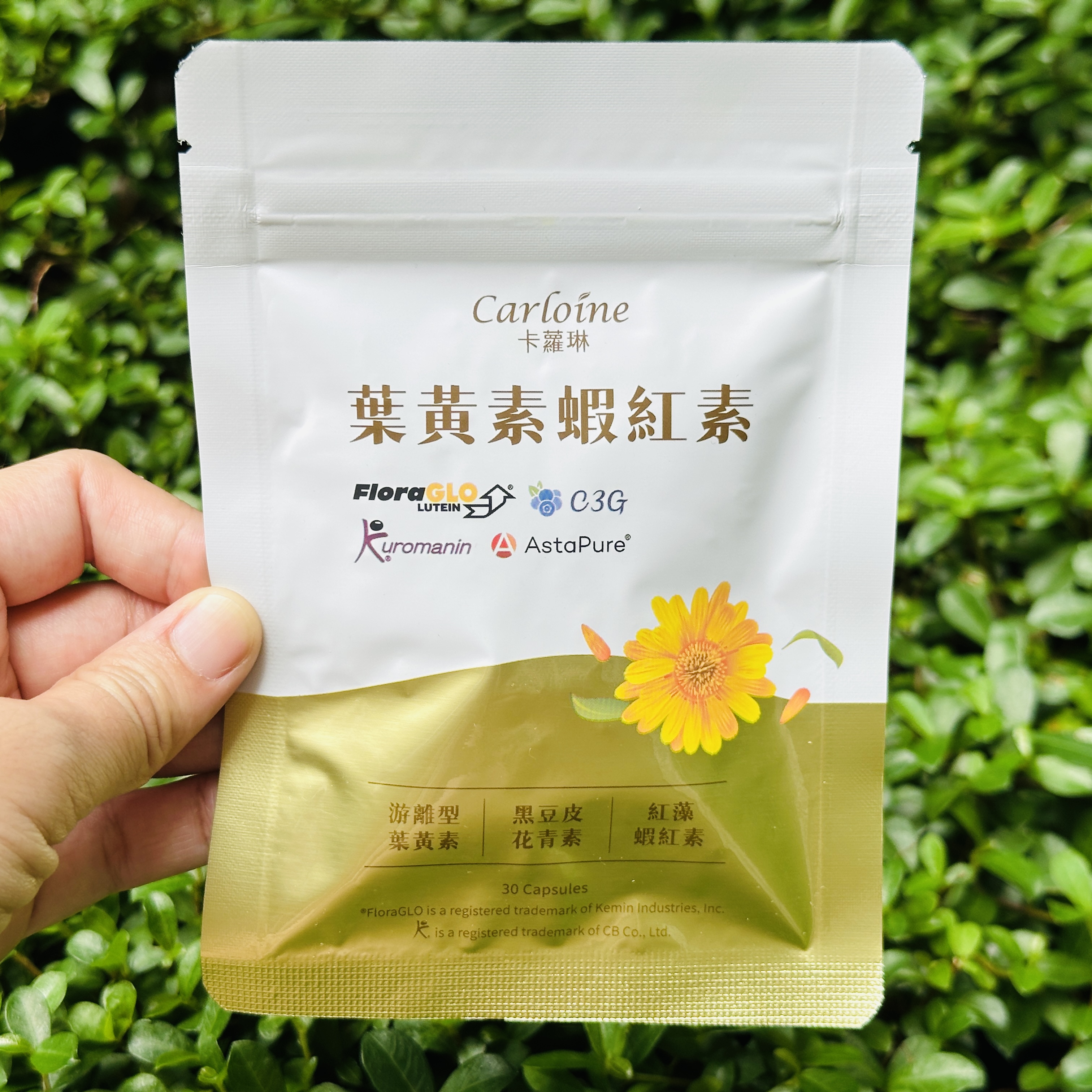 【卡琳 Carloine】素素｜忙碌如何兼
