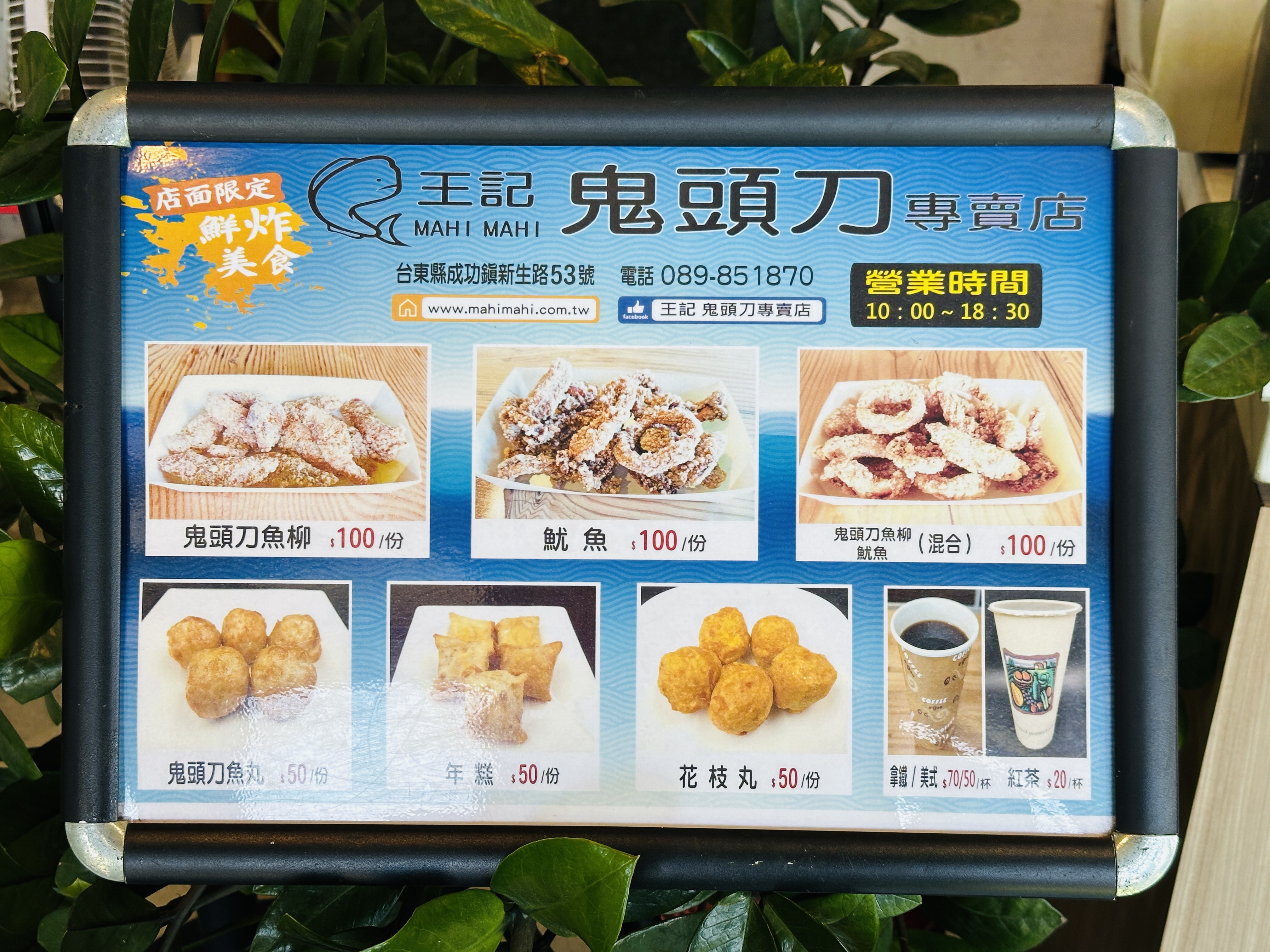 【台東成功→綠島】體驗傳說中的藍色公路｜海上90分鐘輕旅行全