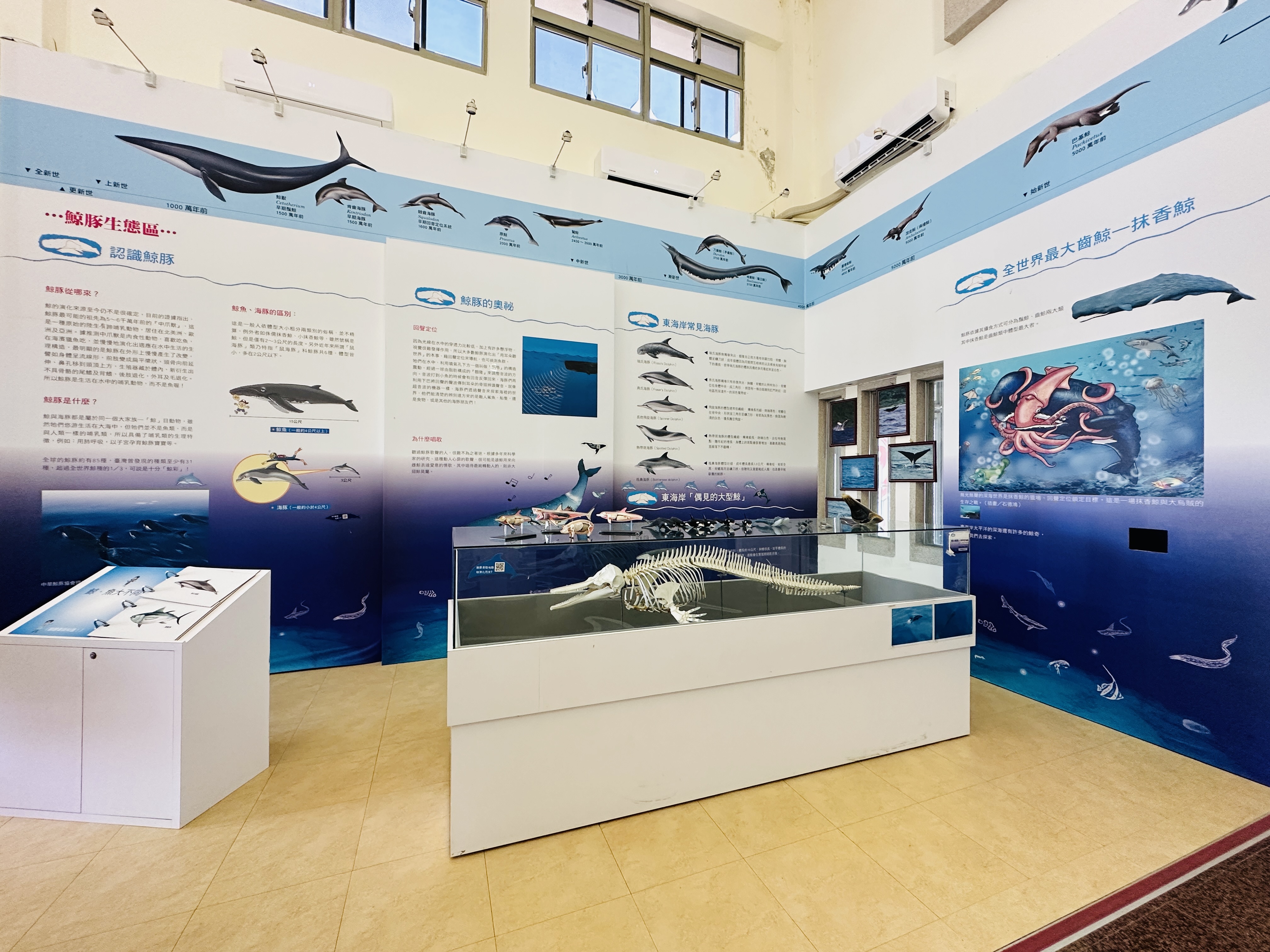 【台東成功→綠島】體驗傳說中的藍色公路｜海上90分鐘輕旅行全