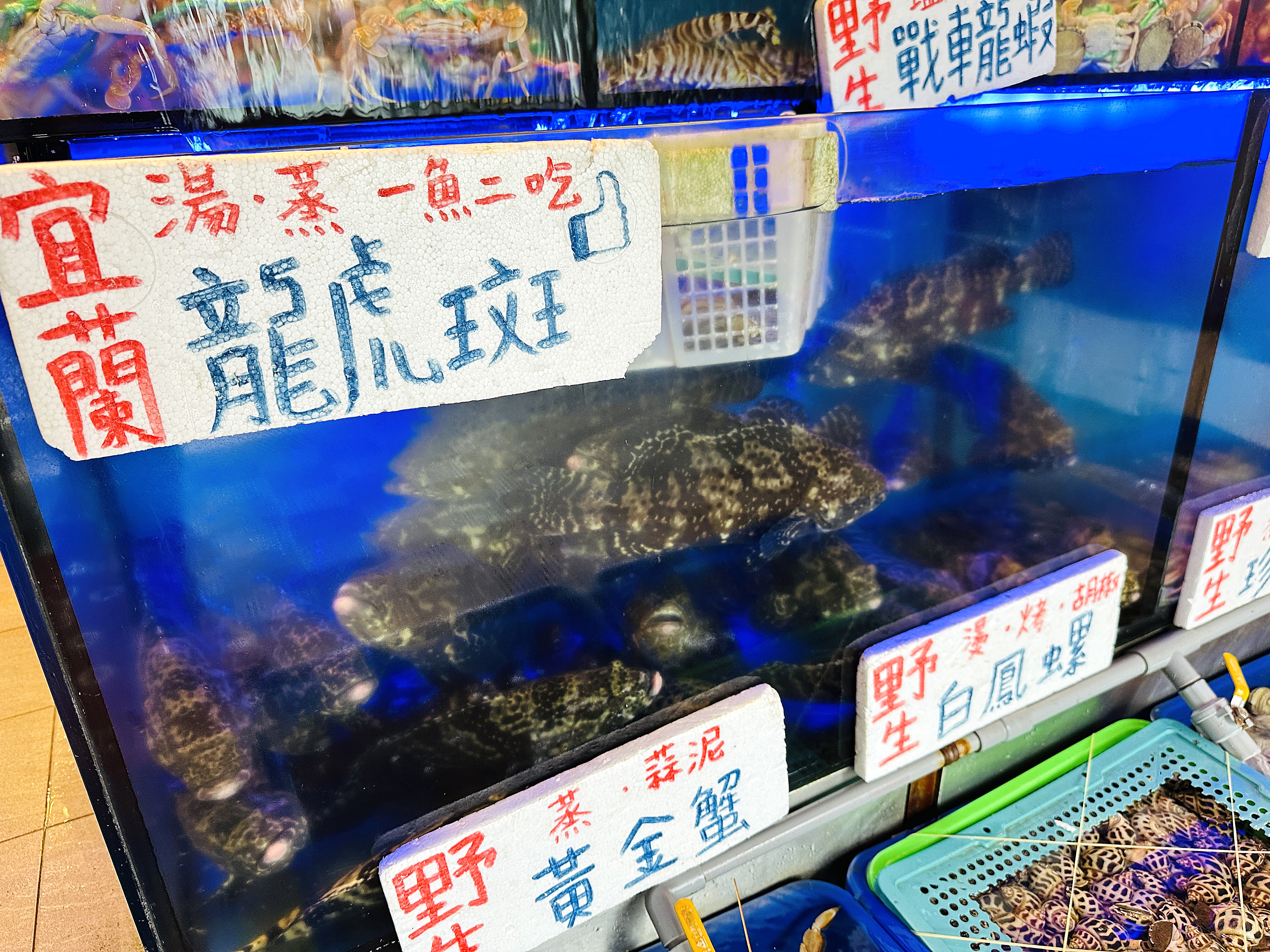 【蟹老闆活海鮮】宜蘭頭城烏石港美食推薦！活海鮮產地直送現撈現