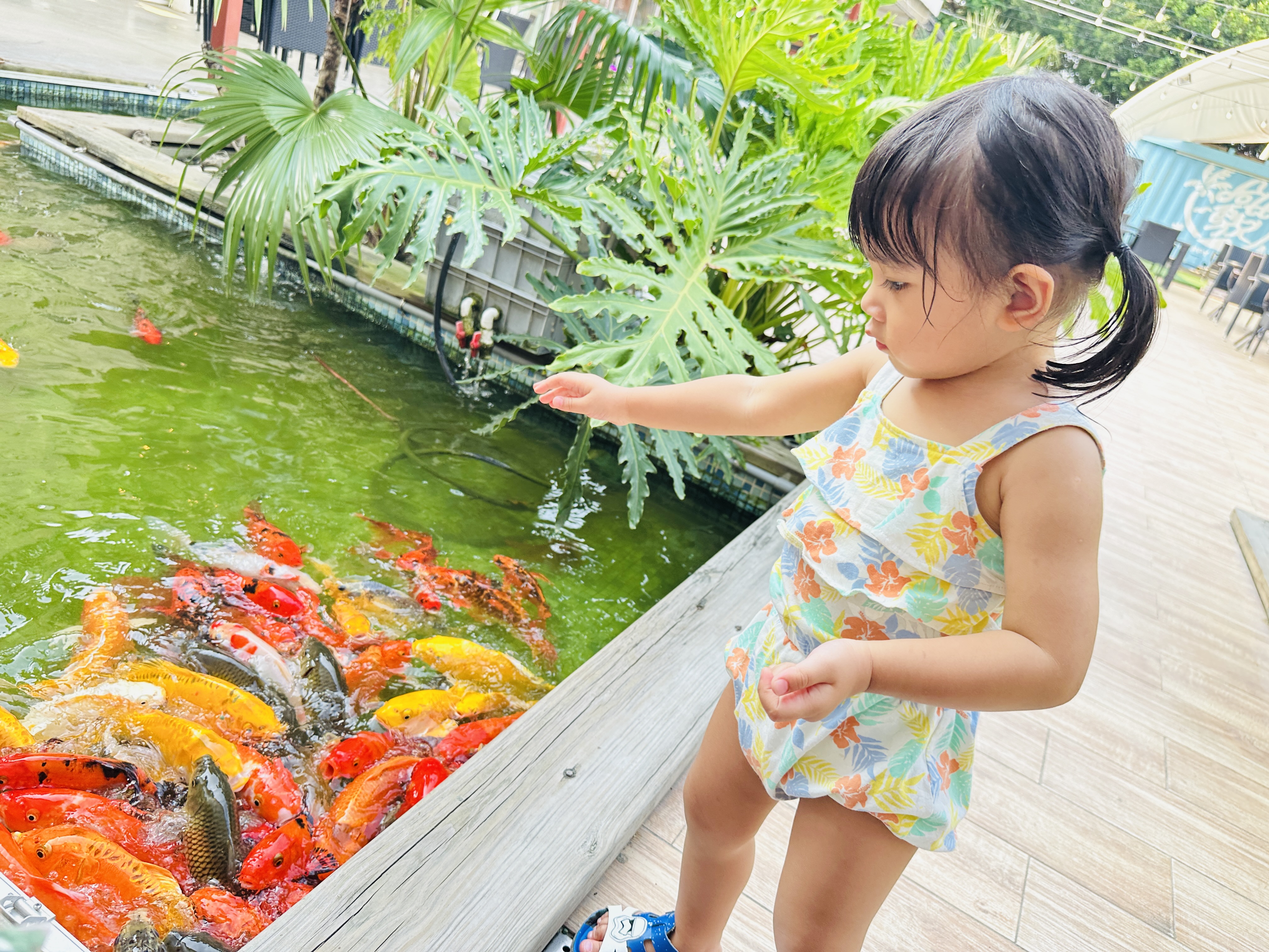 【哈比雪兒露營區】彰化懶人露營｜一泊三食免裝備，親子帳棚住宿