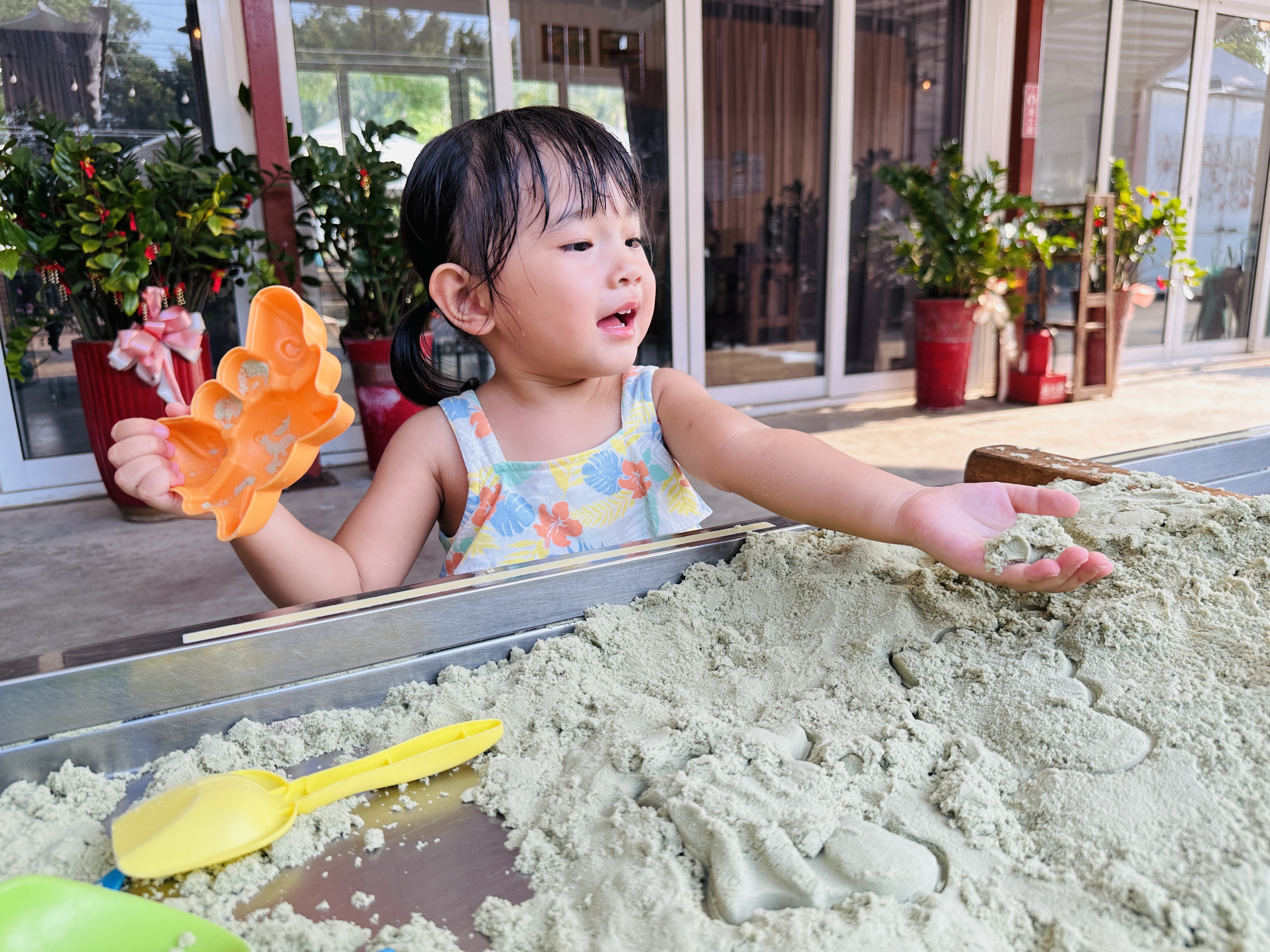 【哈比雪兒露營區】彰化懶人露營｜一泊三食免裝備，親子帳棚住宿