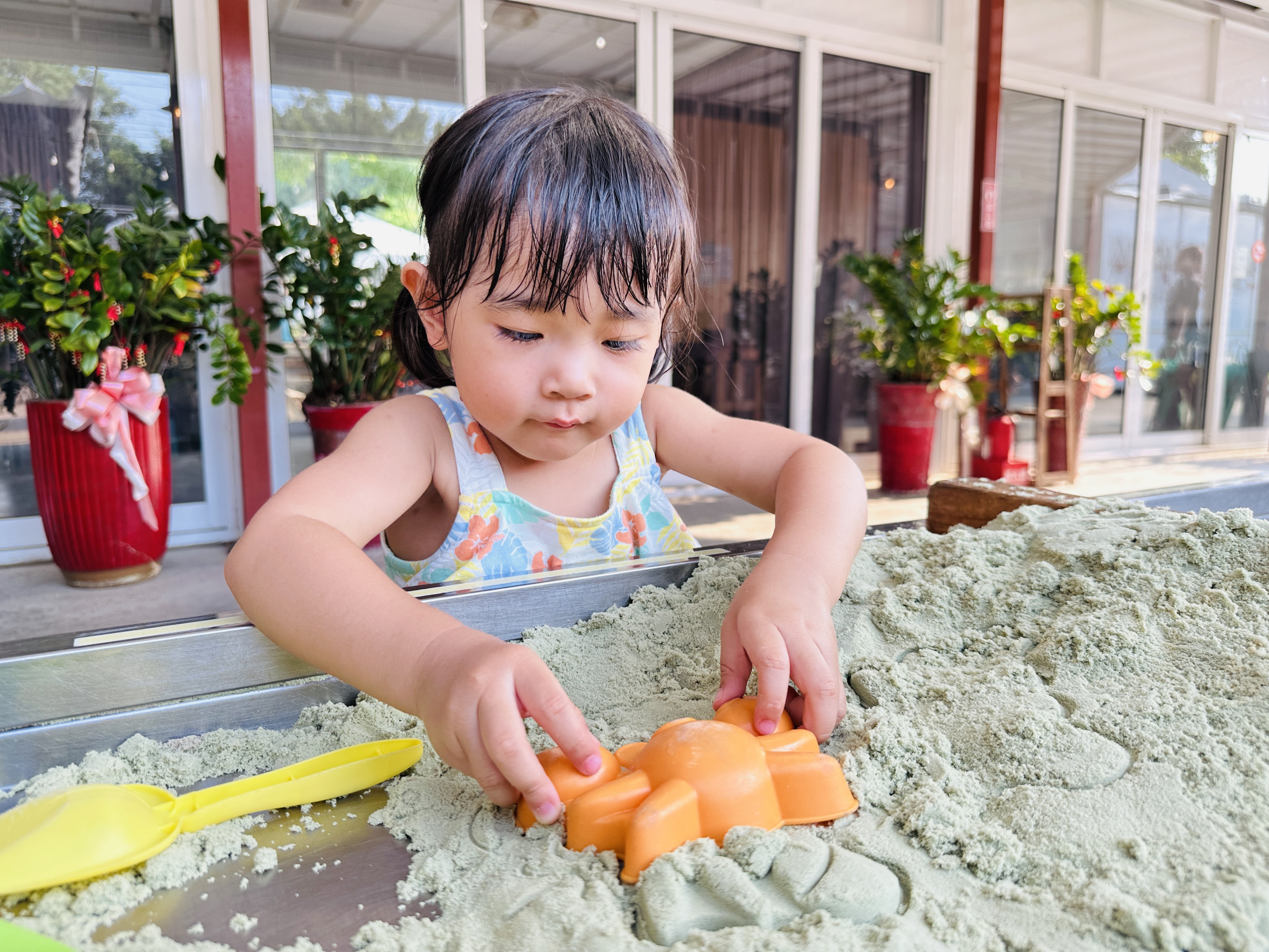 【哈比雪兒露營區】彰化懶人露營｜一泊三食免裝備，親子帳棚住宿