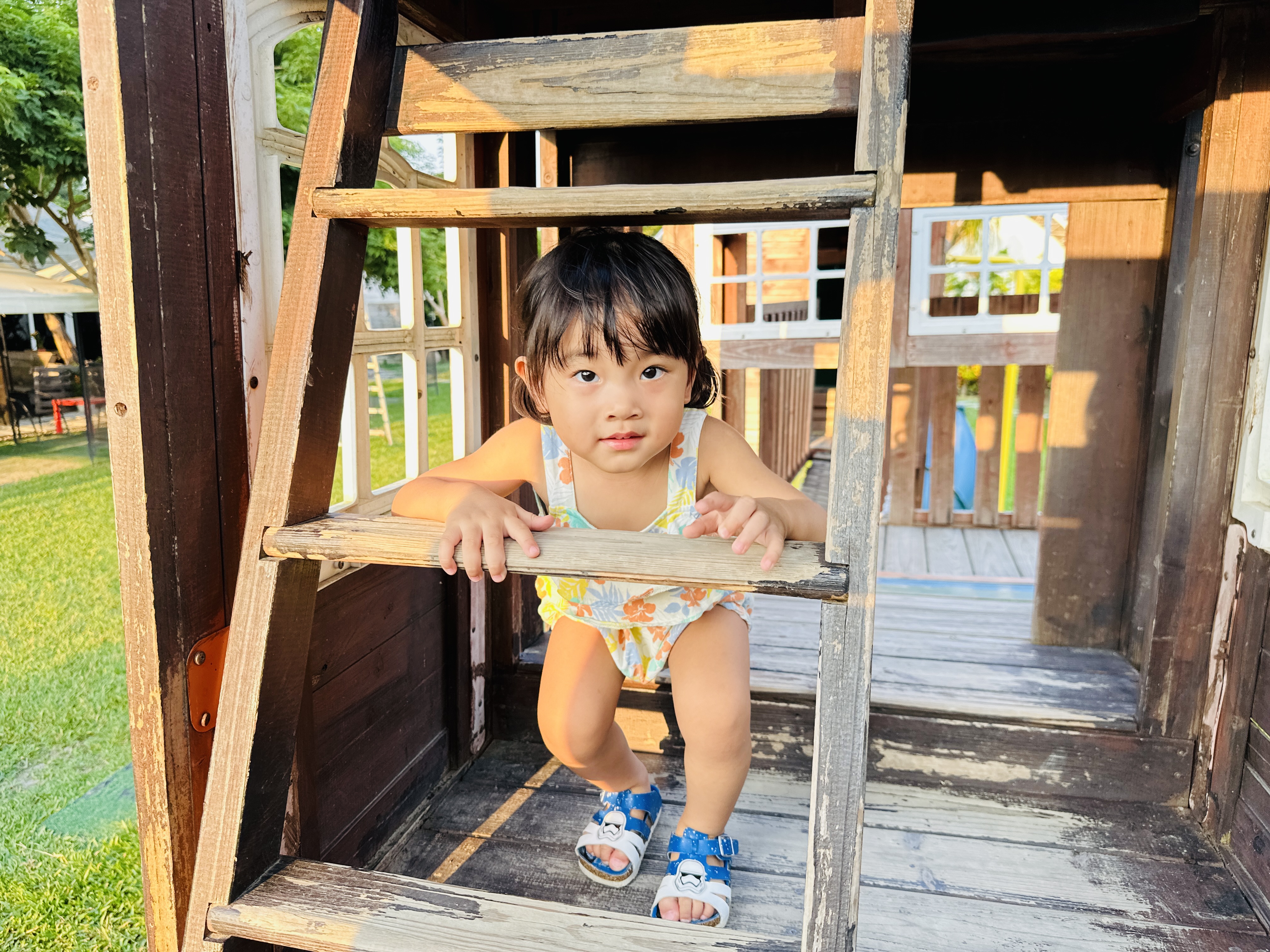 【哈比雪兒露營區】彰化懶人露營｜一泊三食免裝備，親子帳棚住宿