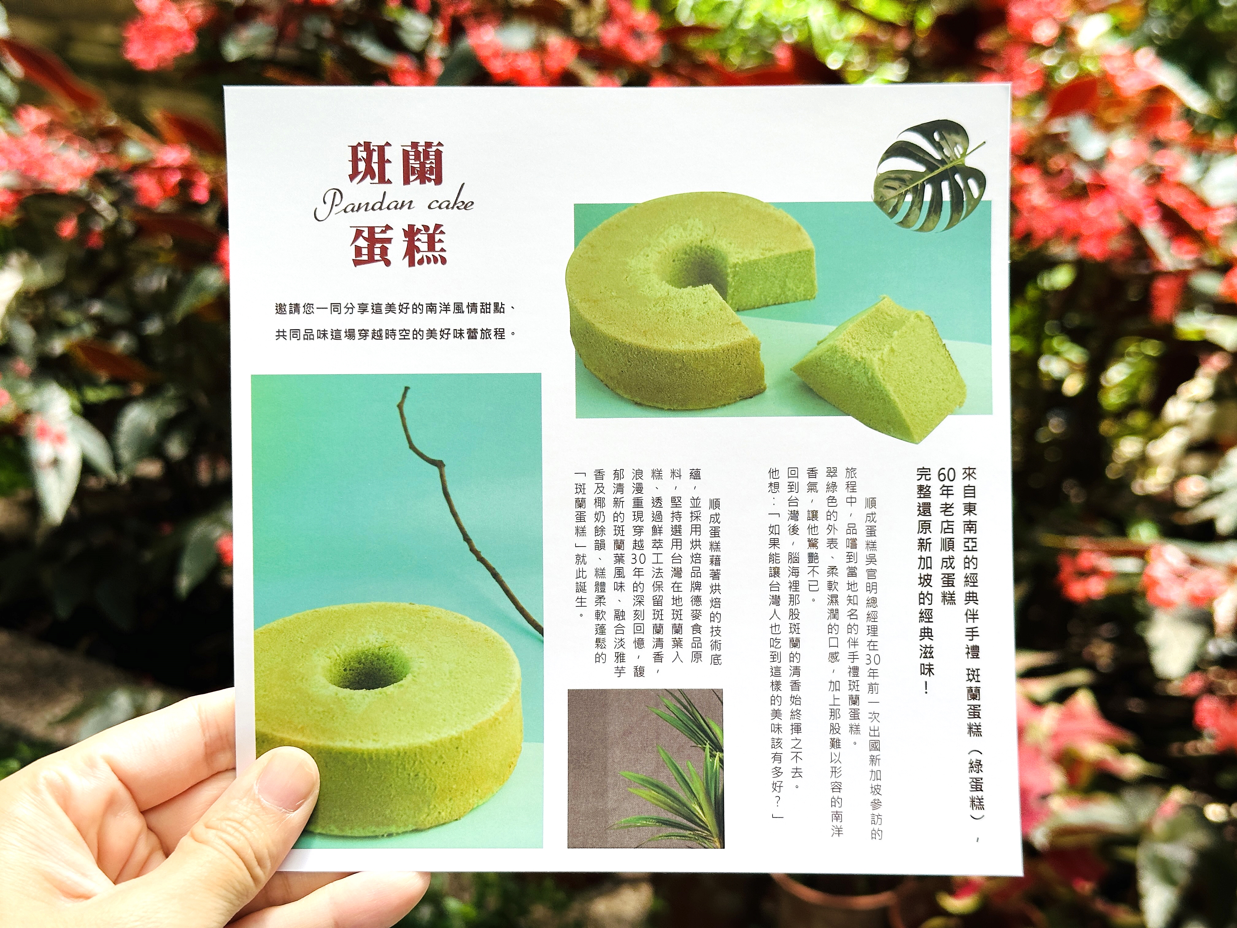 【順成蛋糕】新推出斑蘭蛋糕｜在地食材 × 南洋風味，台灣味的