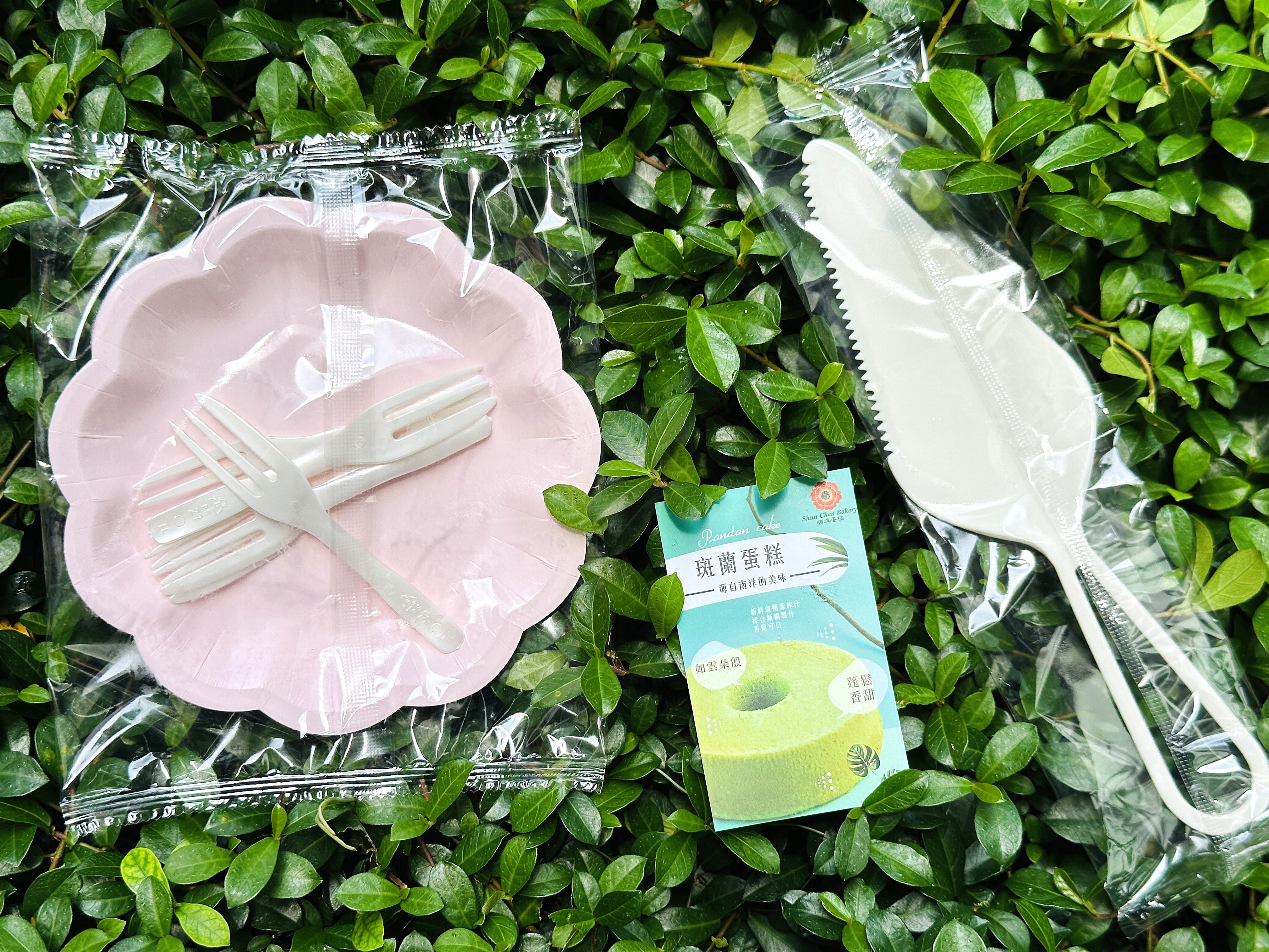 【順成蛋糕】新推出斑蘭蛋糕｜在地食材 × 南洋風味，台灣味的