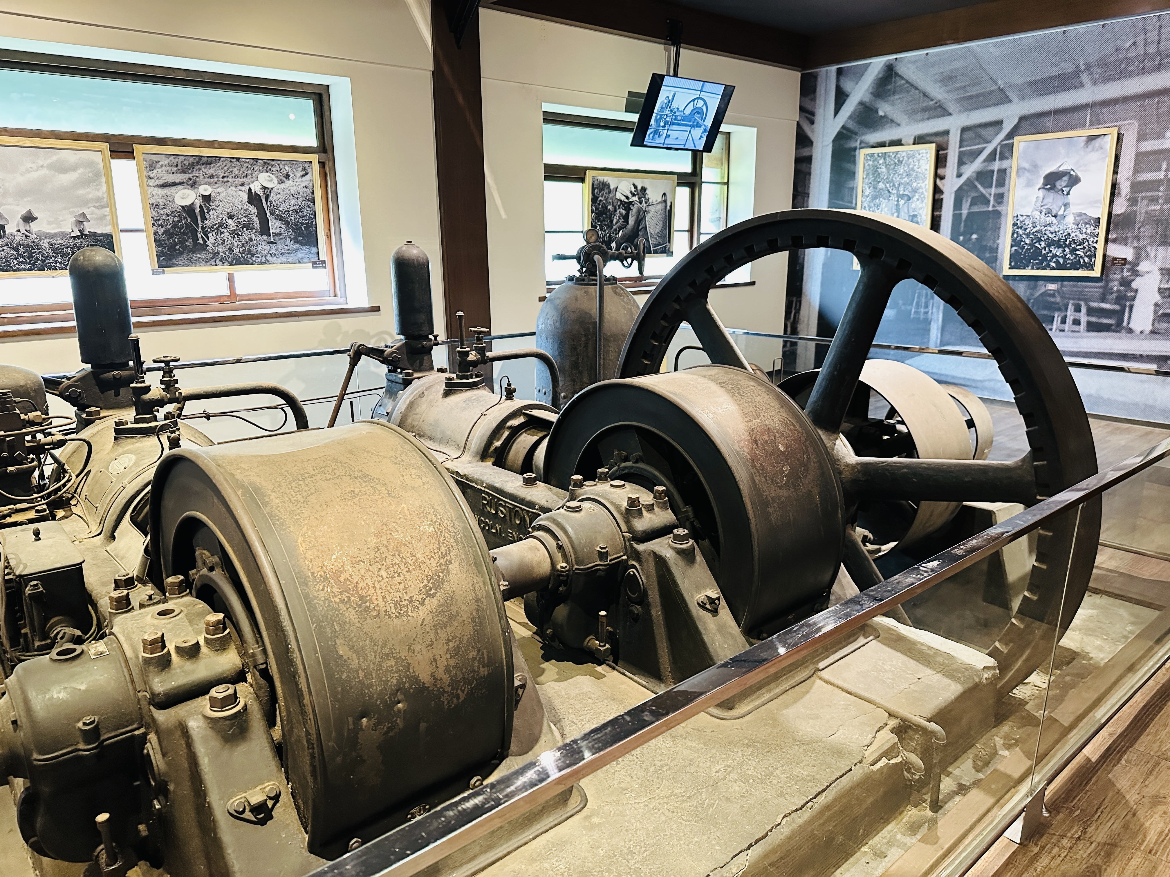 【大板根森林溫泉酒店】新北三峽寵物親子房入住開箱｜森林、溫泉