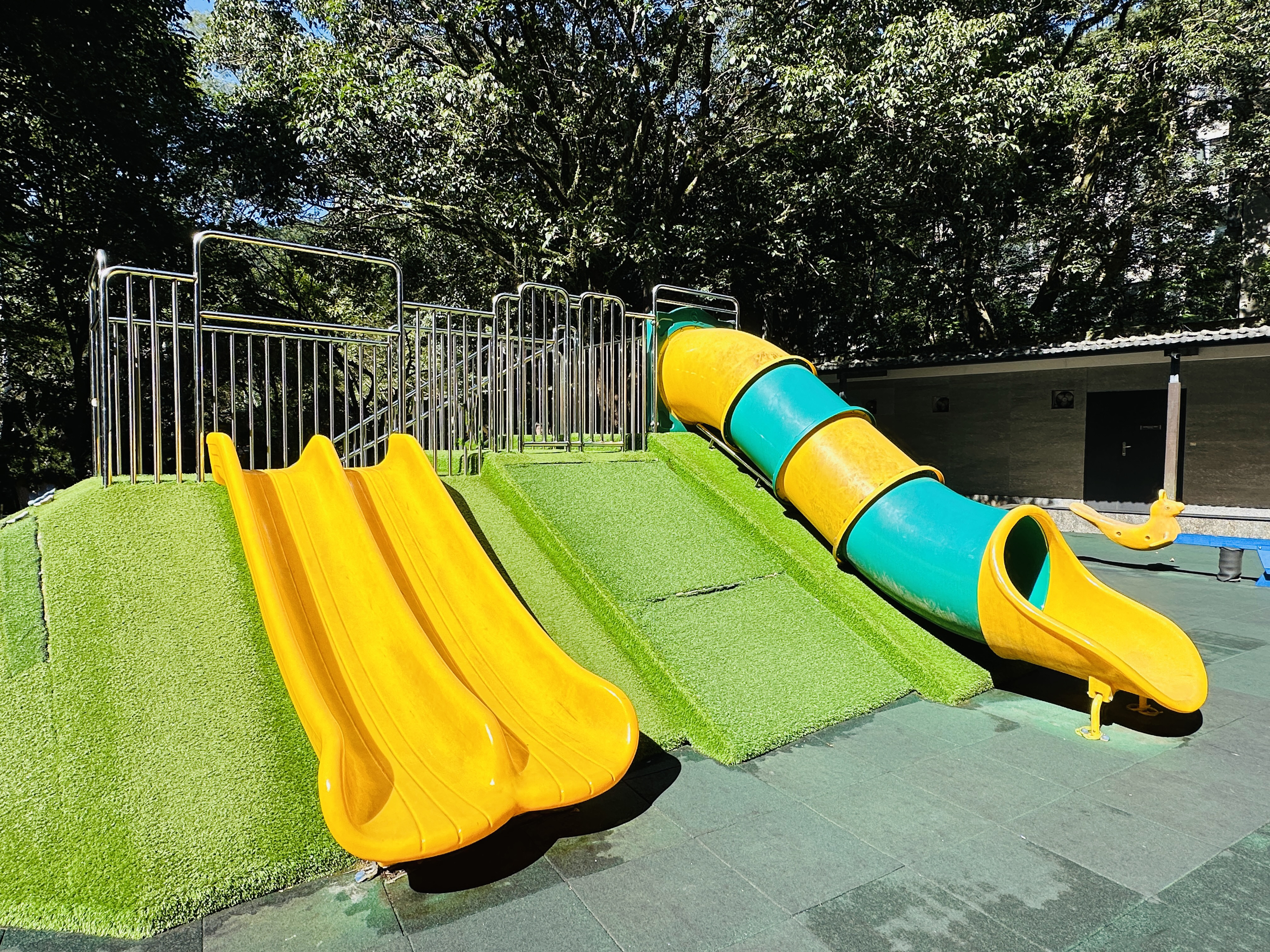 【大板根森林溫泉酒店】新北三峽寵物親子房入住開箱｜森林、溫泉