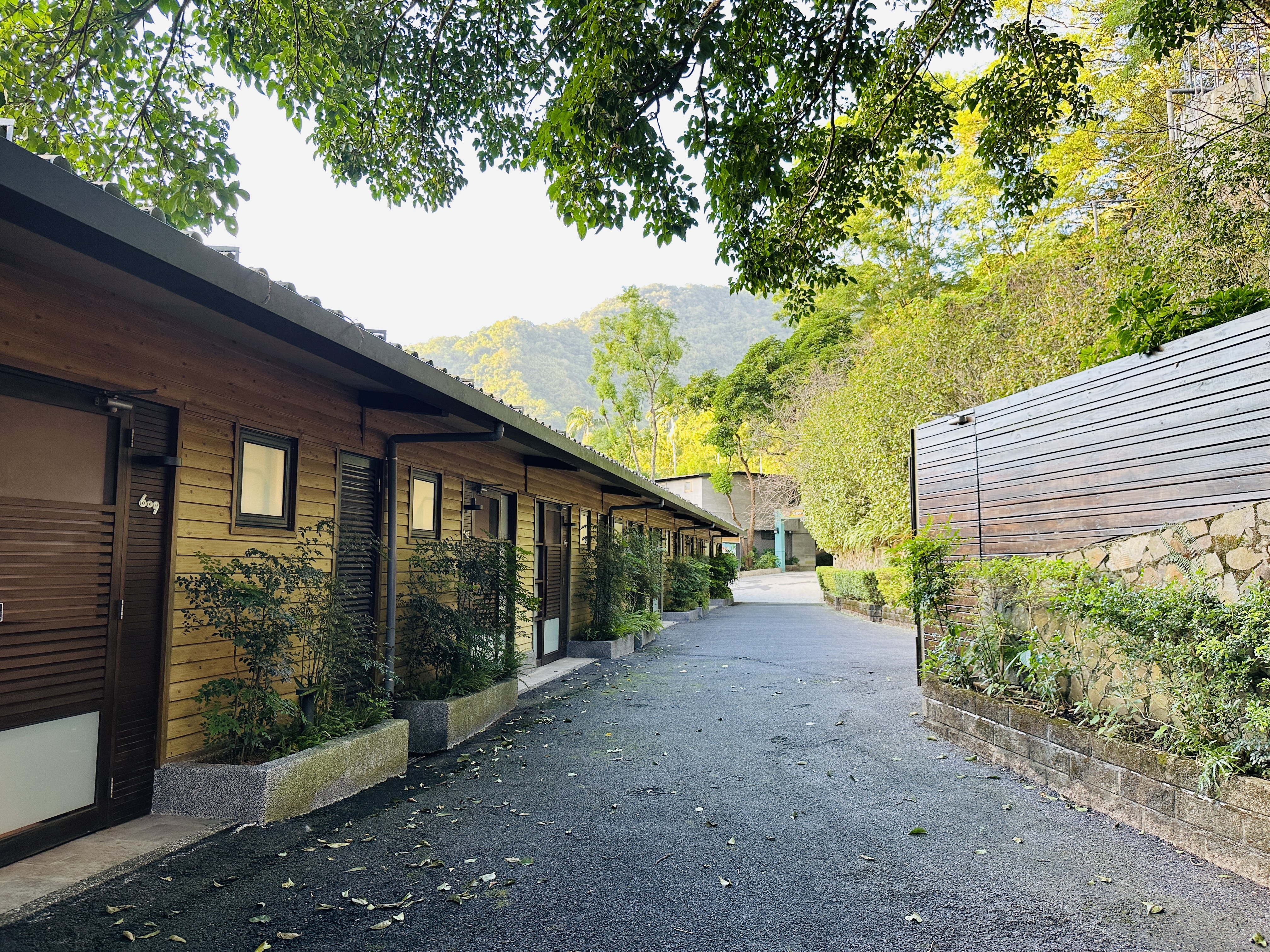 【大板根森林溫泉酒店】新北三峽寵物親子房入住開箱｜森林、溫泉