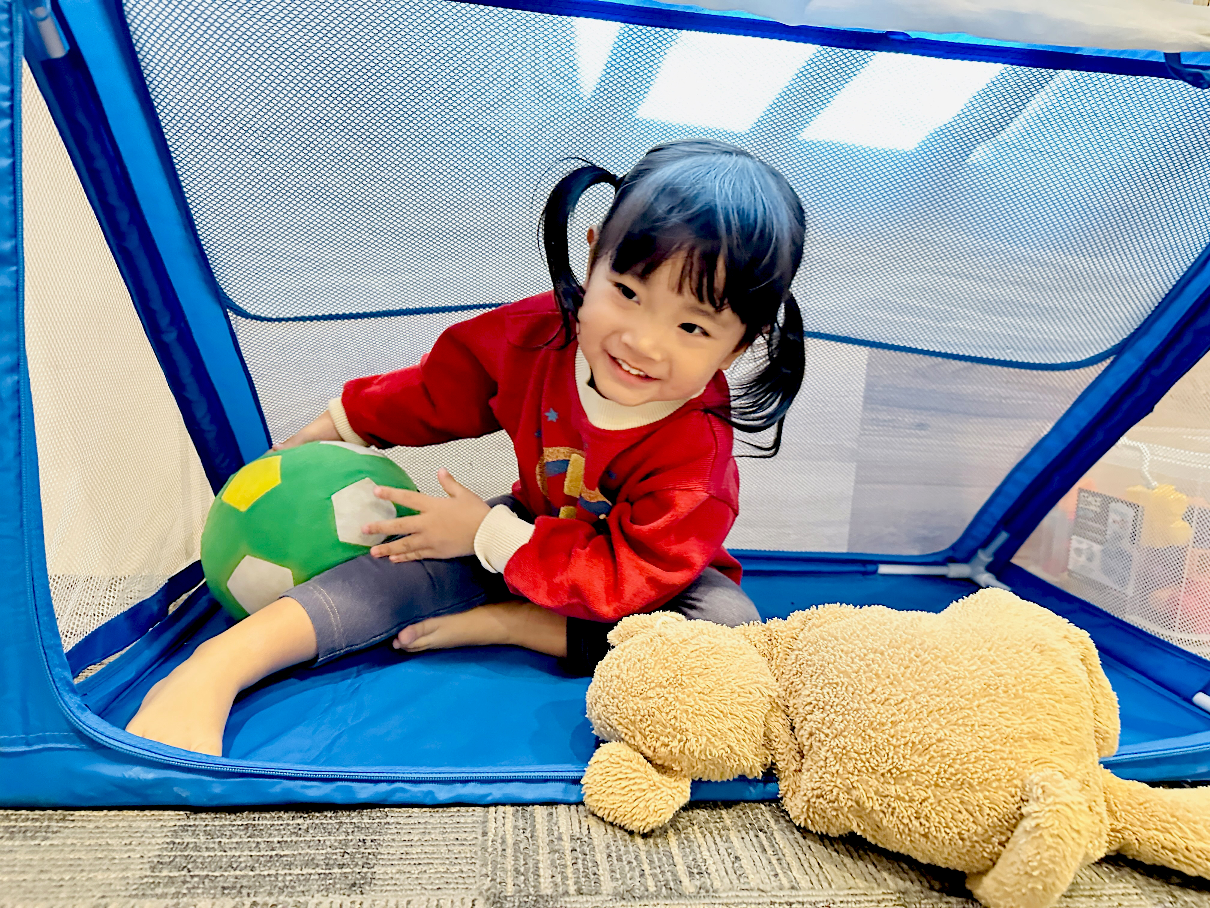 【大板根森林溫泉酒店】新北三峽寵物親子房入住開箱｜森林、溫泉