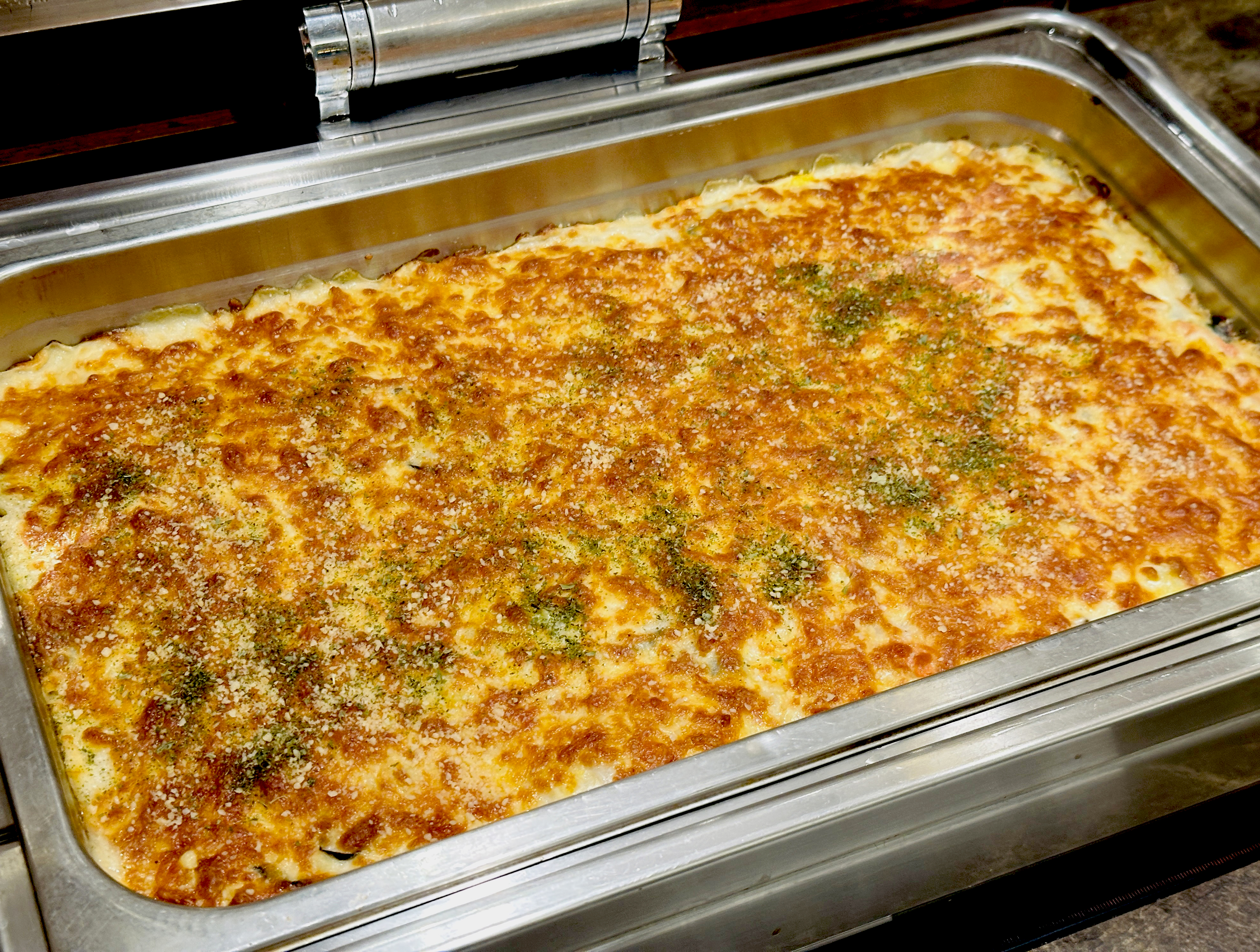 【大板根森林溫泉酒店】新北三峽寵物親子房入住開箱｜森林、溫泉