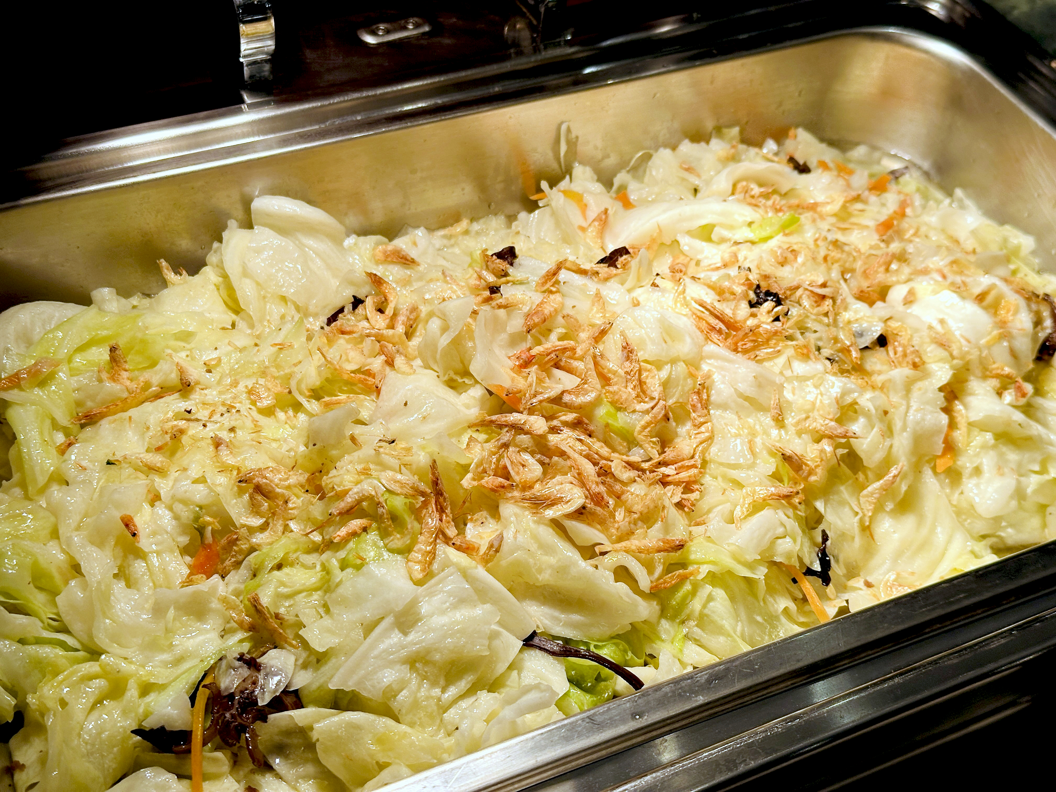 【大板根森林溫泉酒店】新北三峽寵物親子房入住開箱｜森林、溫泉