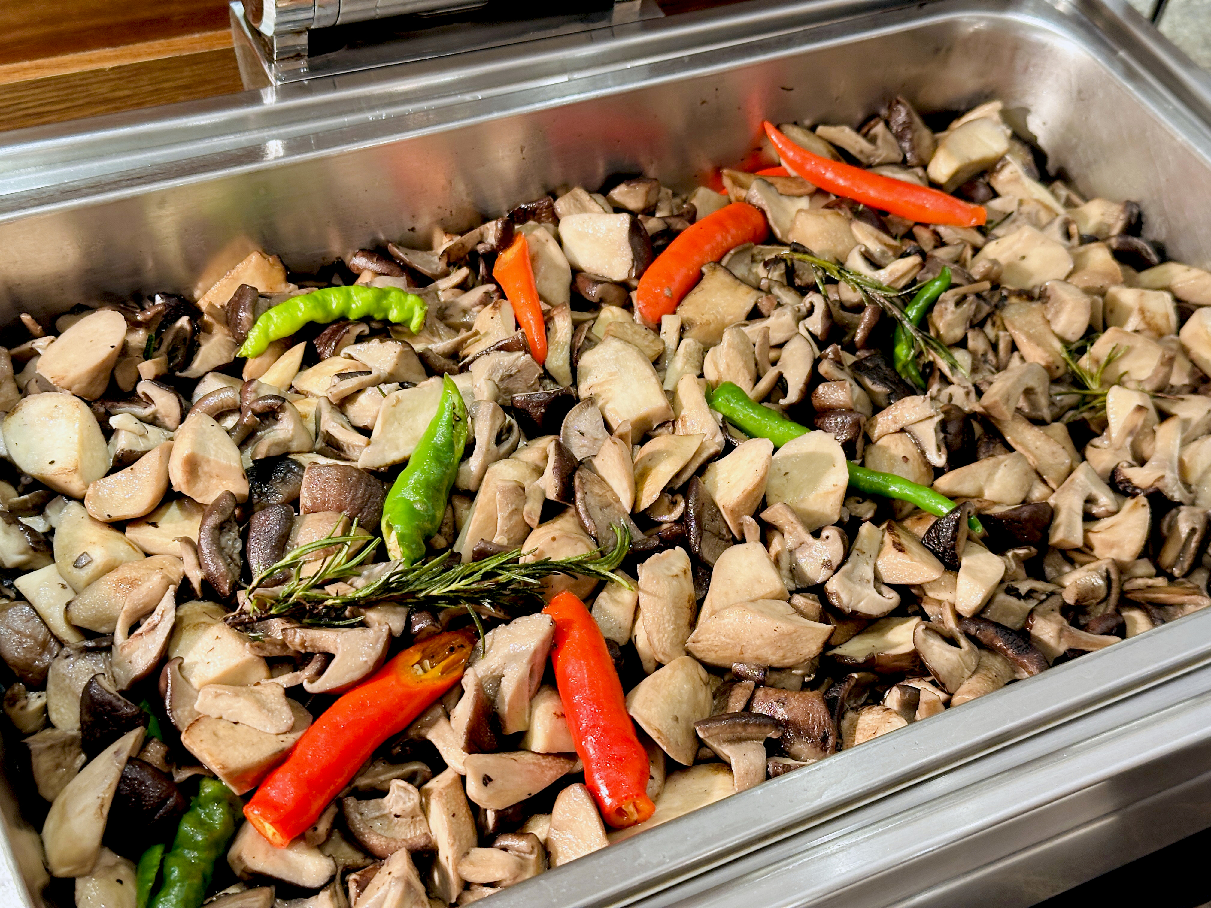 【大板根森林溫泉酒店】新北三峽寵物親子房入住開箱｜森林、溫泉