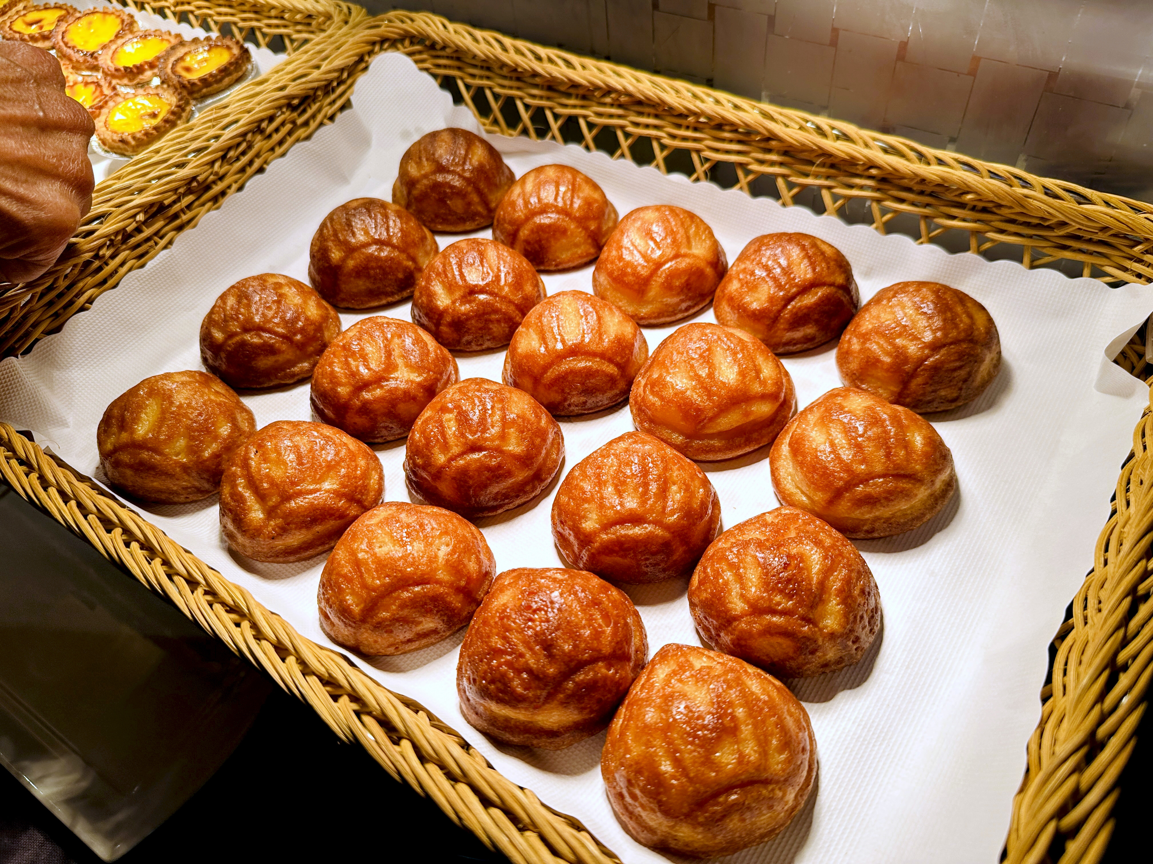 【大板根森林溫泉酒店】新北三峽寵物親子房入住開箱｜森林、溫泉