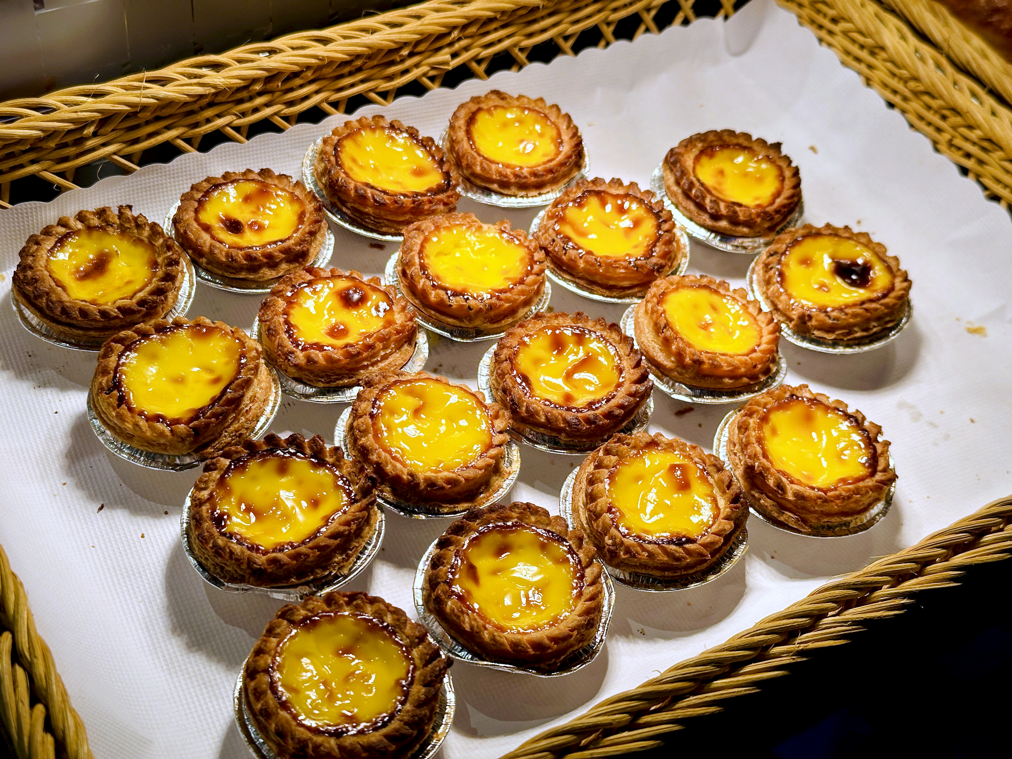 【大板根森林溫泉酒店】新北三峽寵物親子房入住開箱｜森林、溫泉