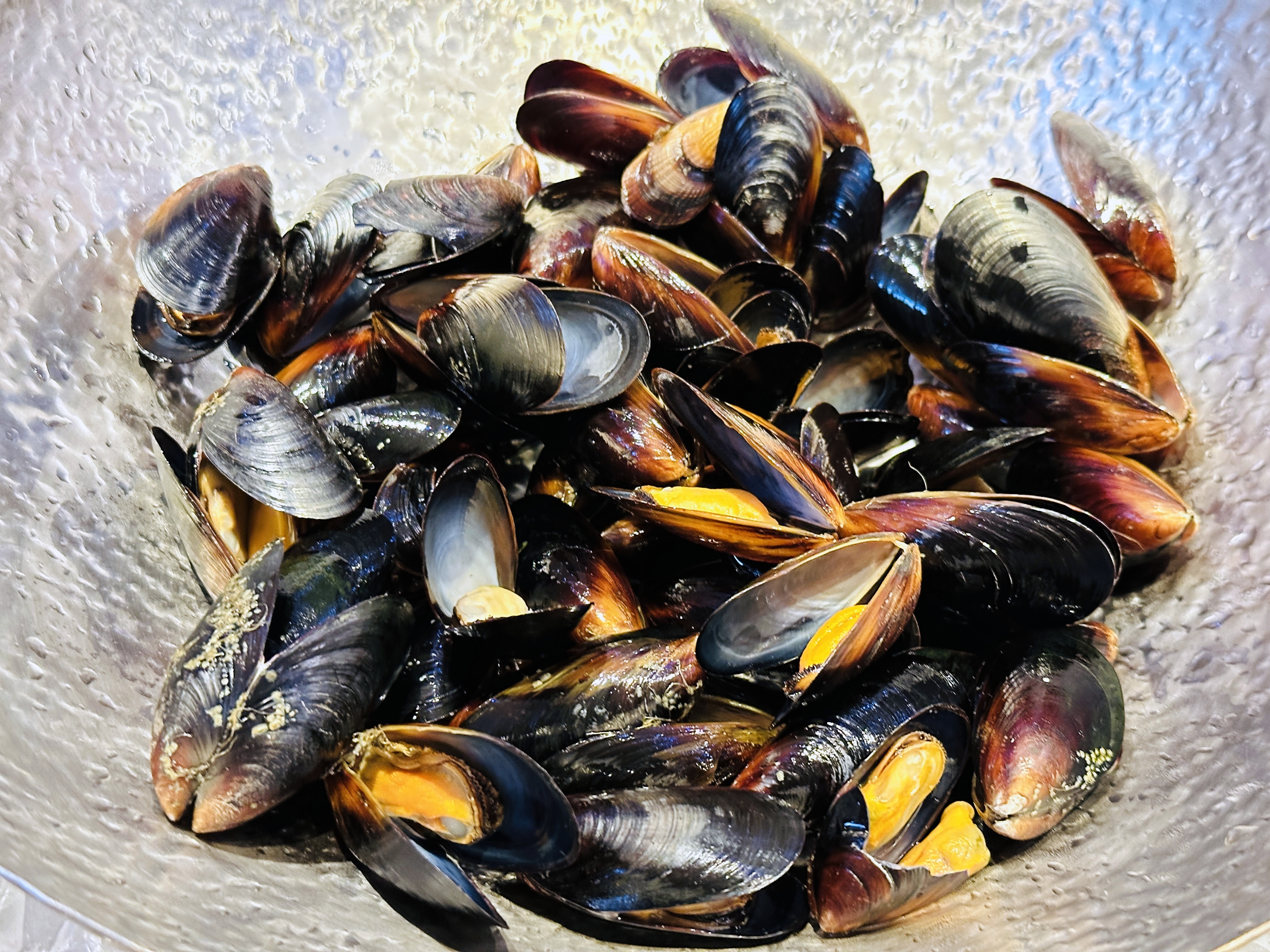 【大板根森林溫泉酒店】新北三峽寵物親子房入住開箱｜森林、溫泉