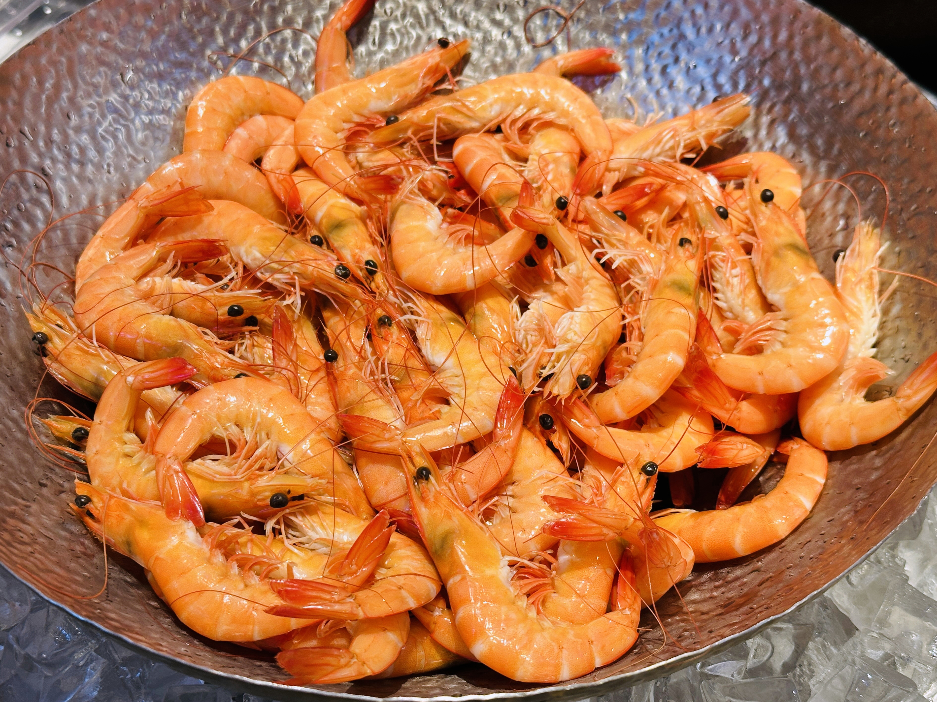 【大板根森林溫泉酒店】新北三峽寵物親子房入住開箱｜森林、溫泉