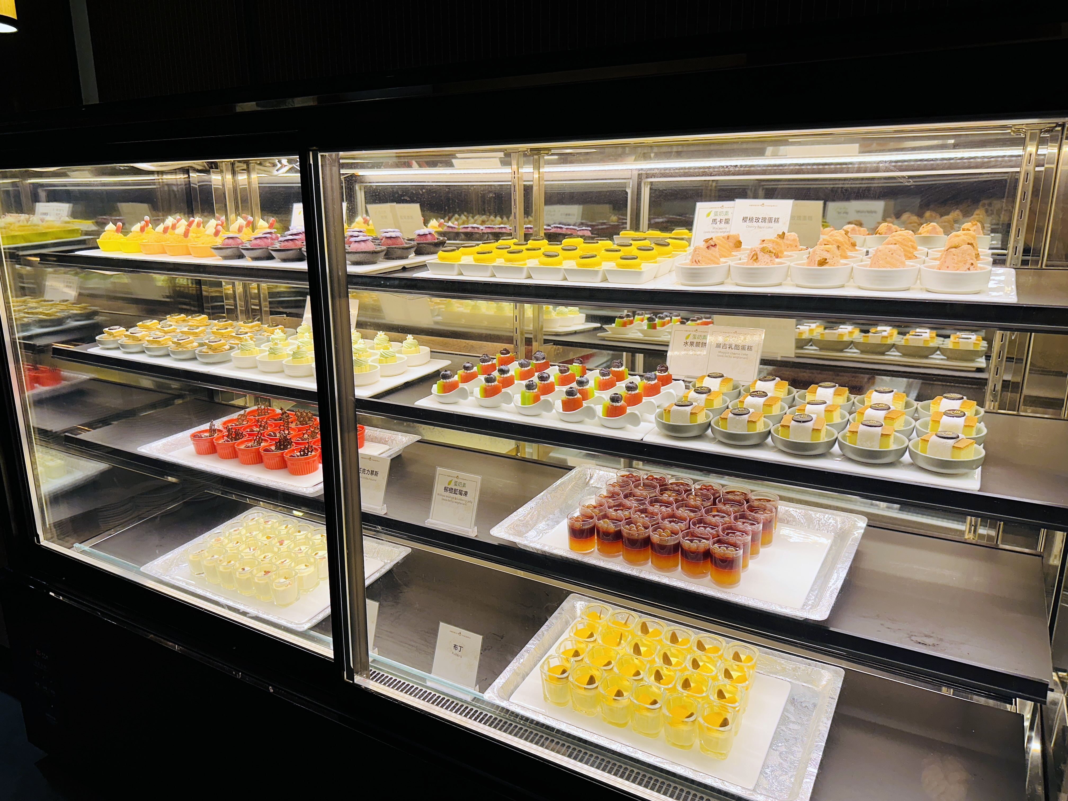 【大板根森林溫泉酒店】新北三峽寵物親子房入住開箱｜森林、溫泉