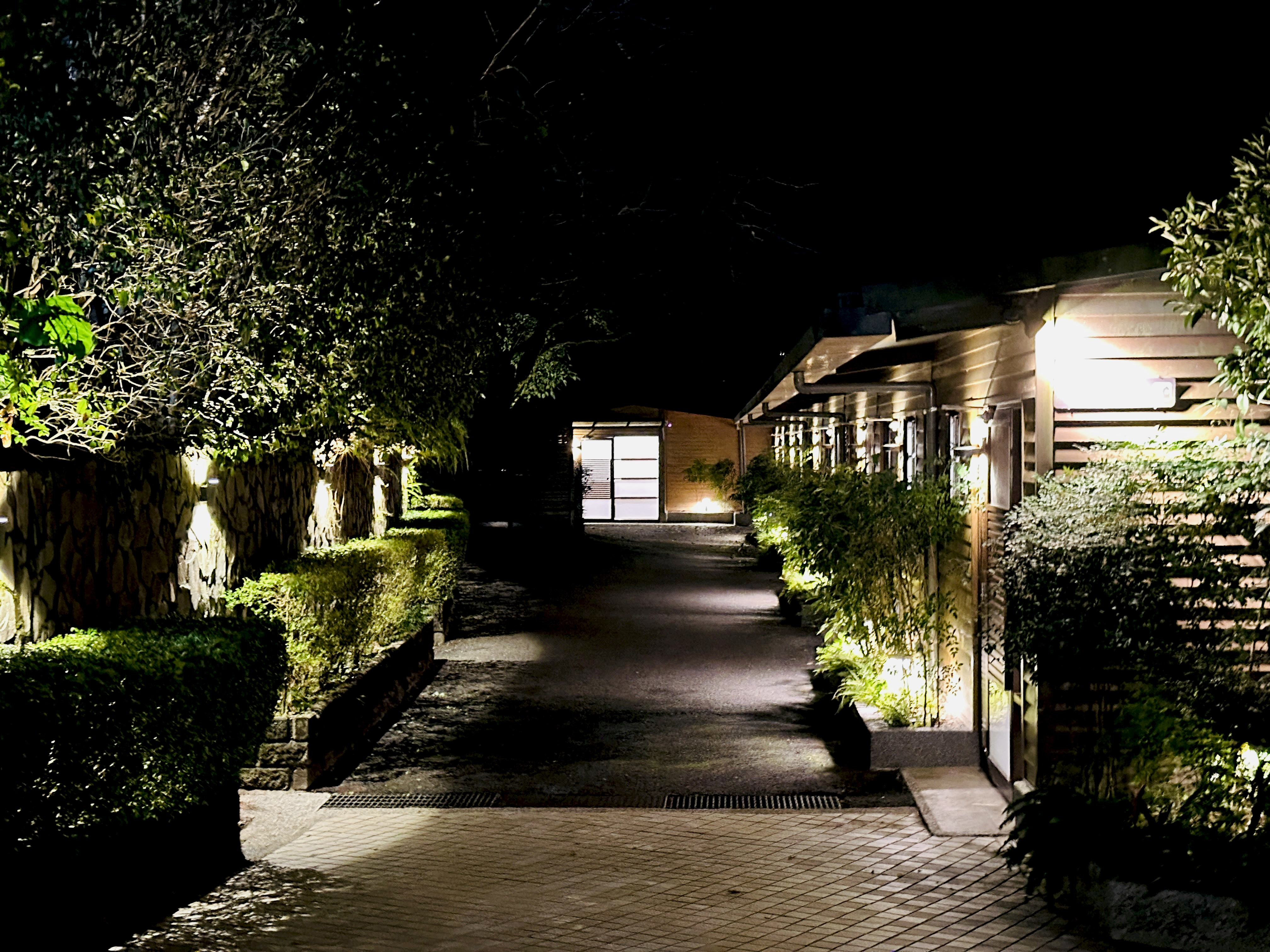 【大板根森林溫泉酒店】新北三峽寵物親子房入住開箱｜森林、溫泉