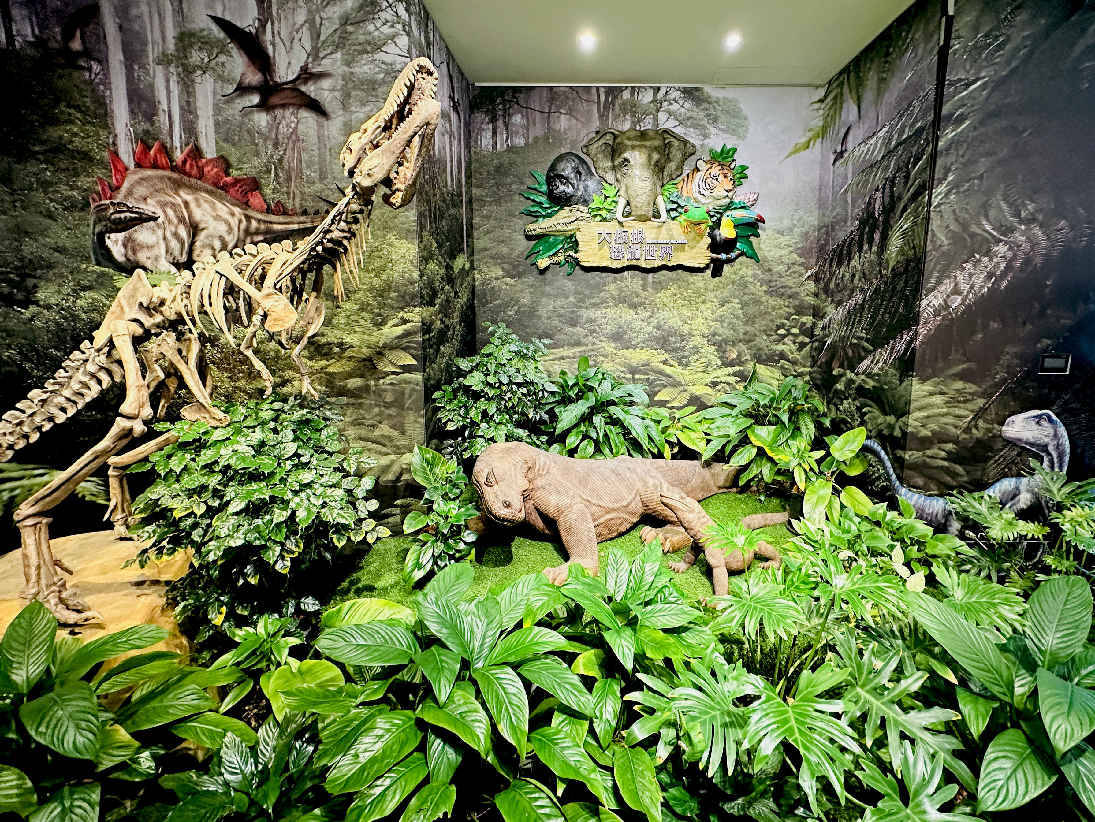 【大板根森林溫泉酒店】新北三峽寵物親子房入住開箱｜森林、溫泉