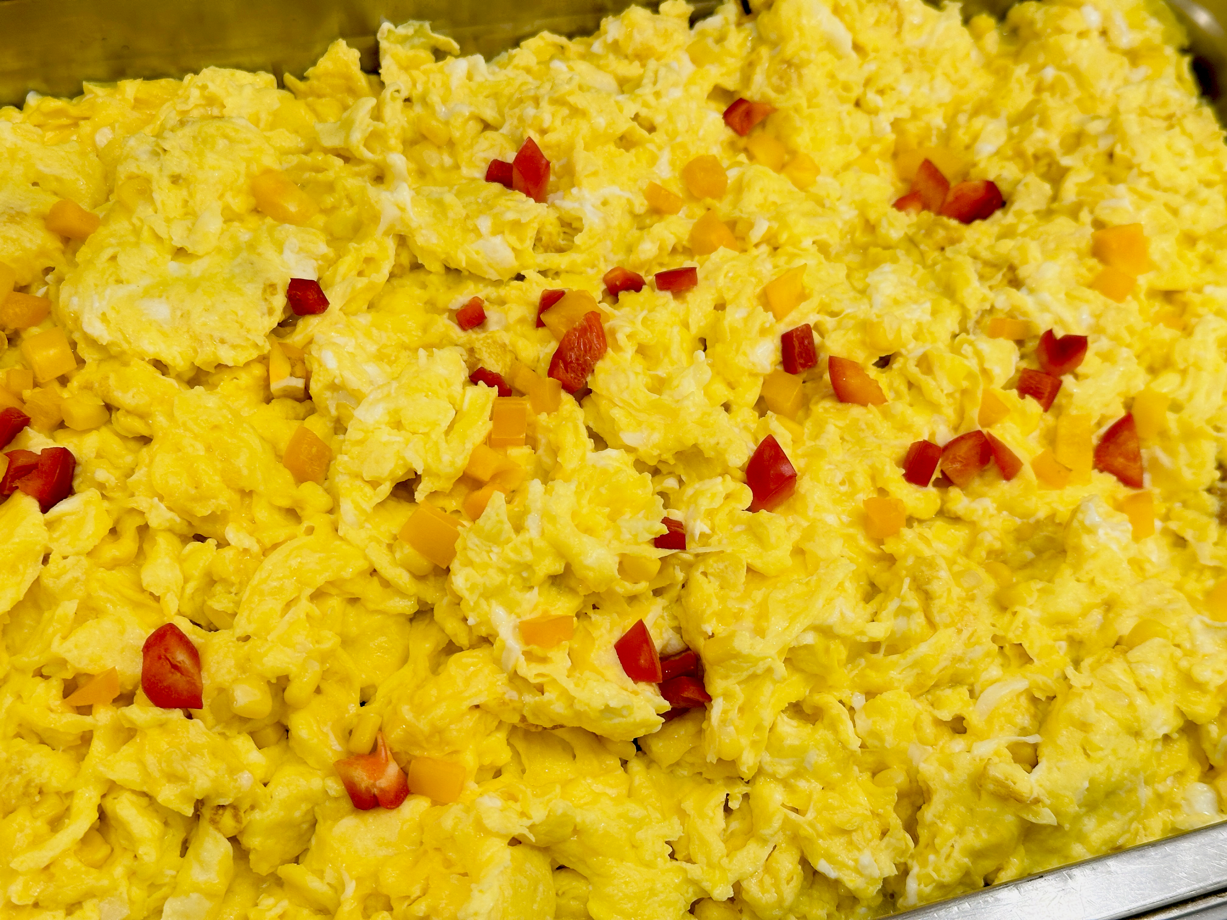 【大板根森林溫泉酒店】新北三峽寵物親子房入住開箱｜森林、溫泉