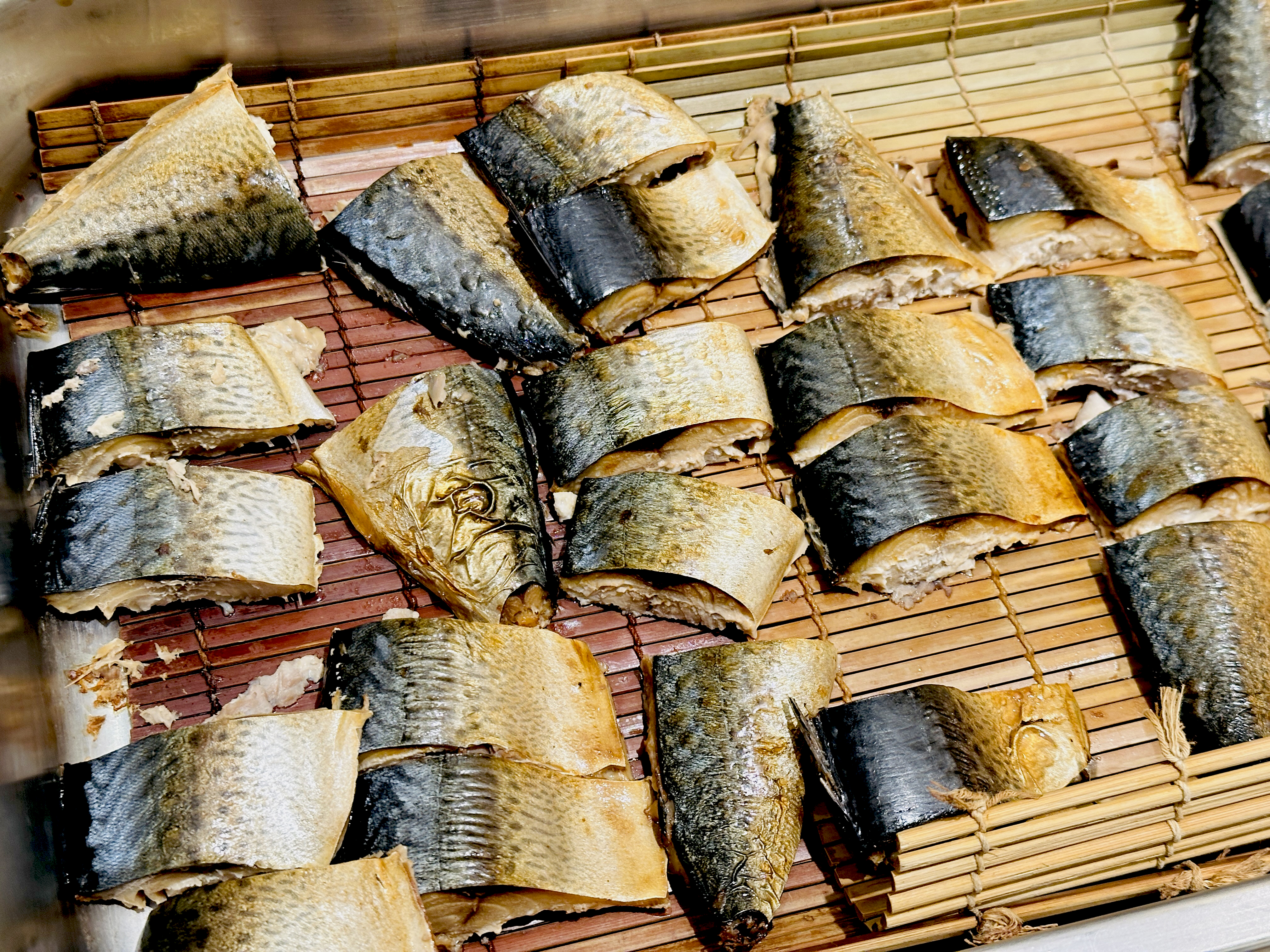 【大板根森林溫泉酒店】新北三峽寵物親子房入住開箱｜森林、溫泉