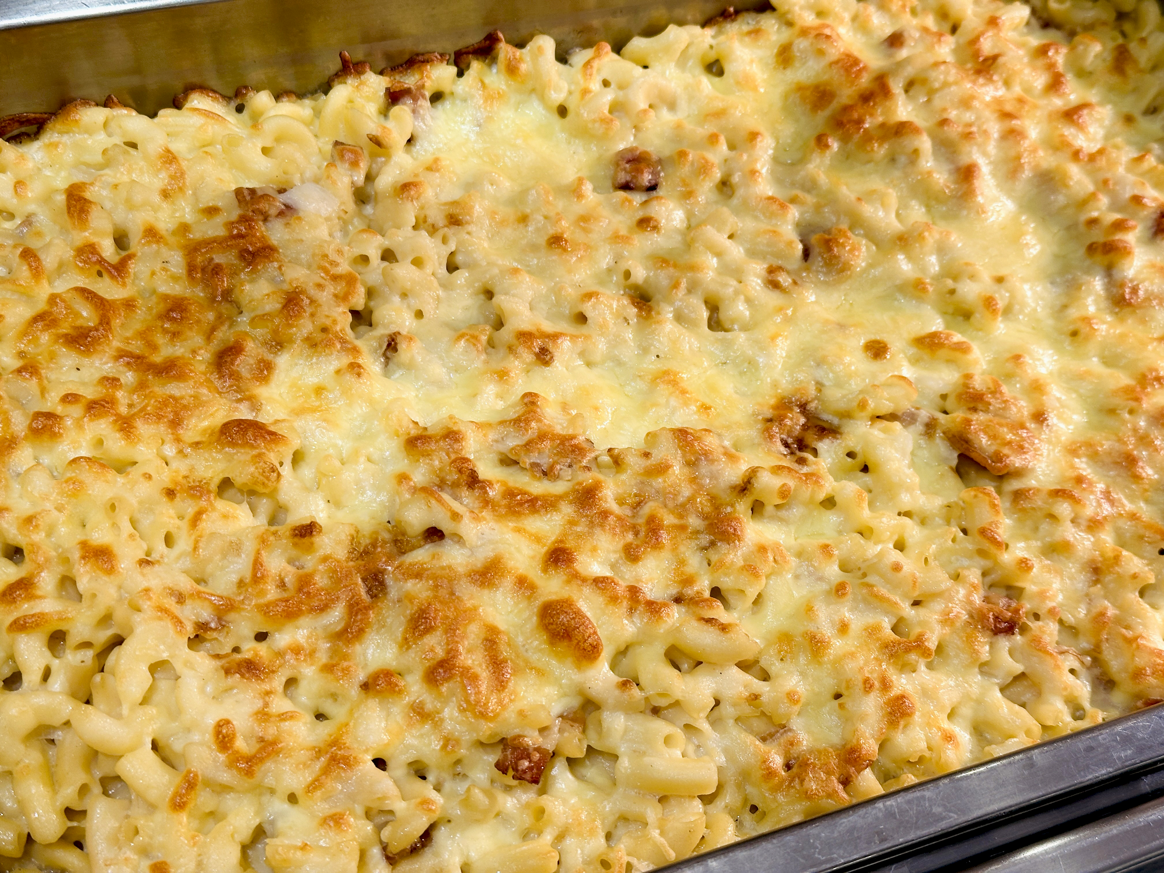 【大板根森林溫泉酒店】新北三峽寵物親子房入住開箱｜森林、溫泉