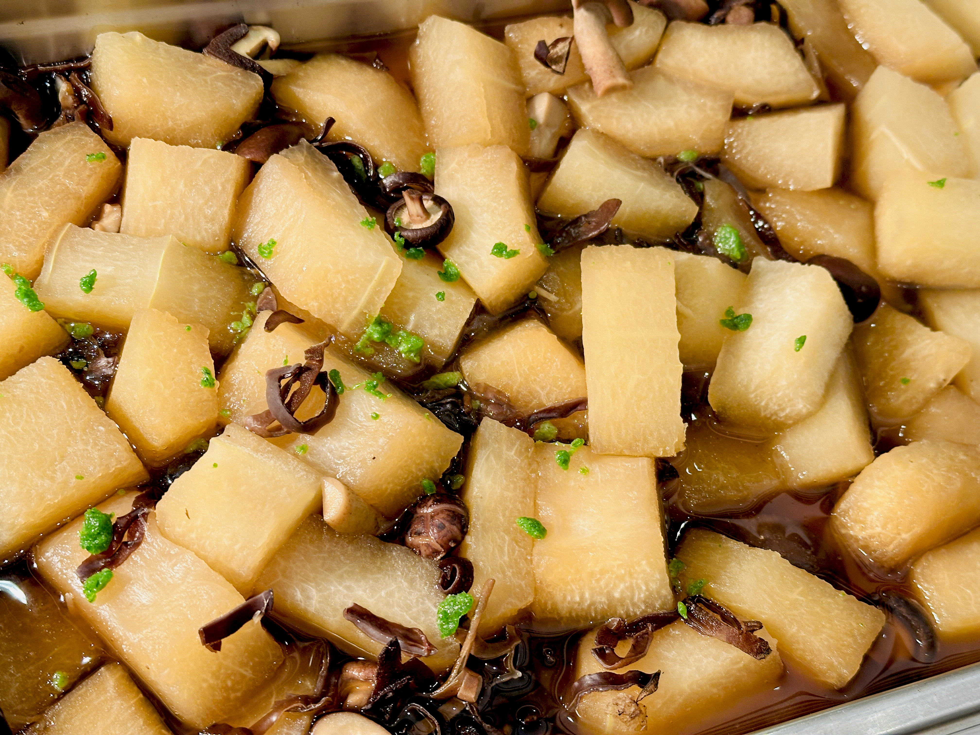 【大板根森林溫泉酒店】新北三峽寵物親子房入住開箱｜森林、溫泉