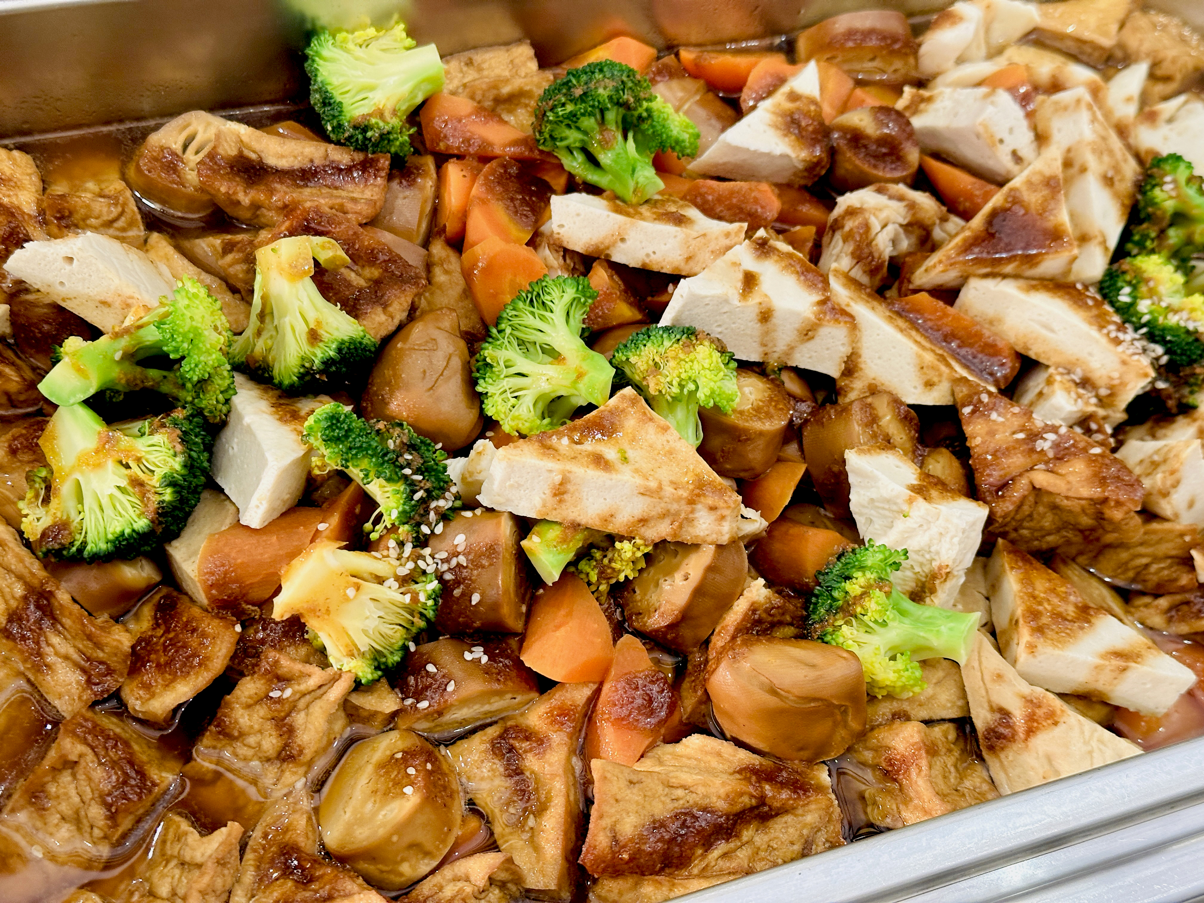 【大板根森林溫泉酒店】新北三峽寵物親子房入住開箱｜森林、溫泉