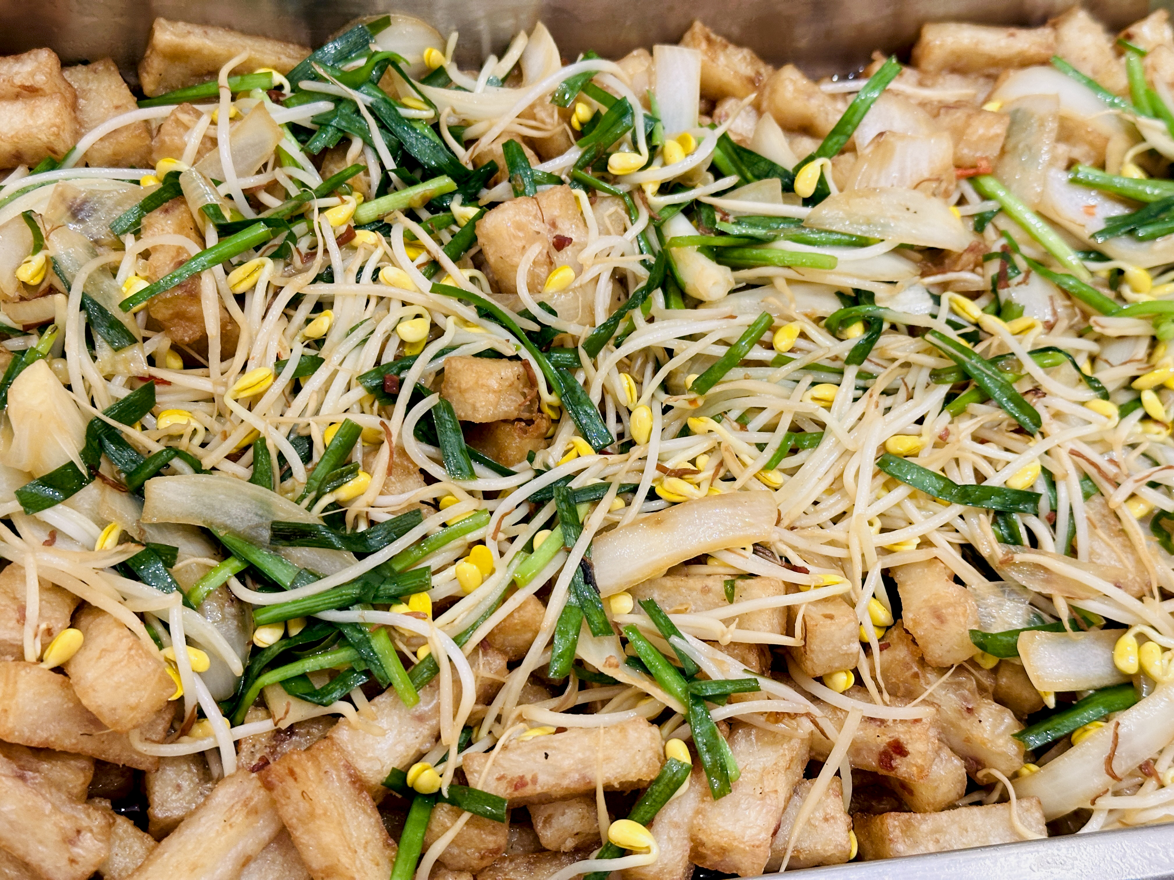 【大板根森林溫泉酒店】新北三峽寵物親子房入住開箱｜森林、溫泉