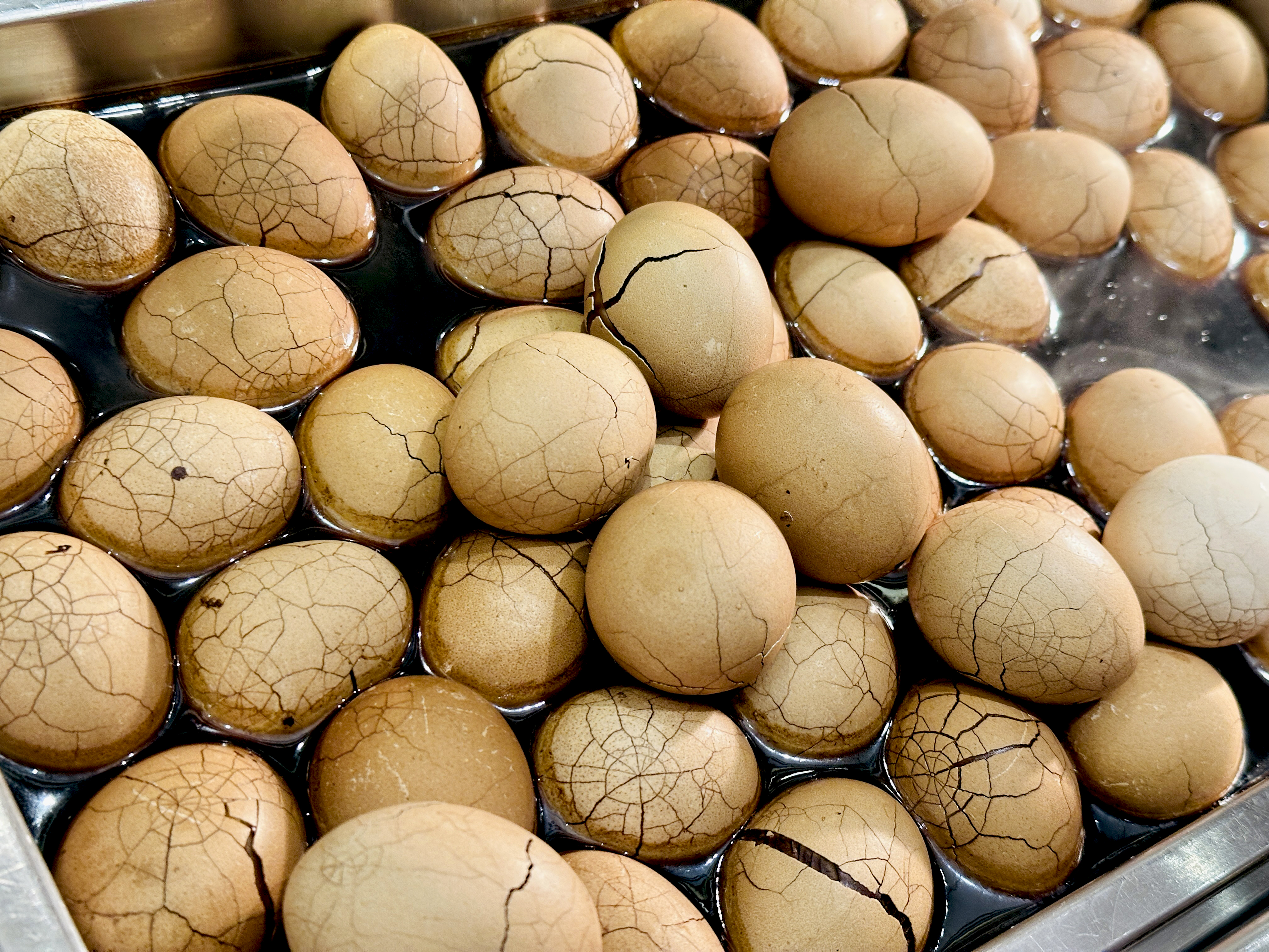 【大板根森林溫泉酒店】新北三峽寵物親子房入住開箱｜森林、溫泉