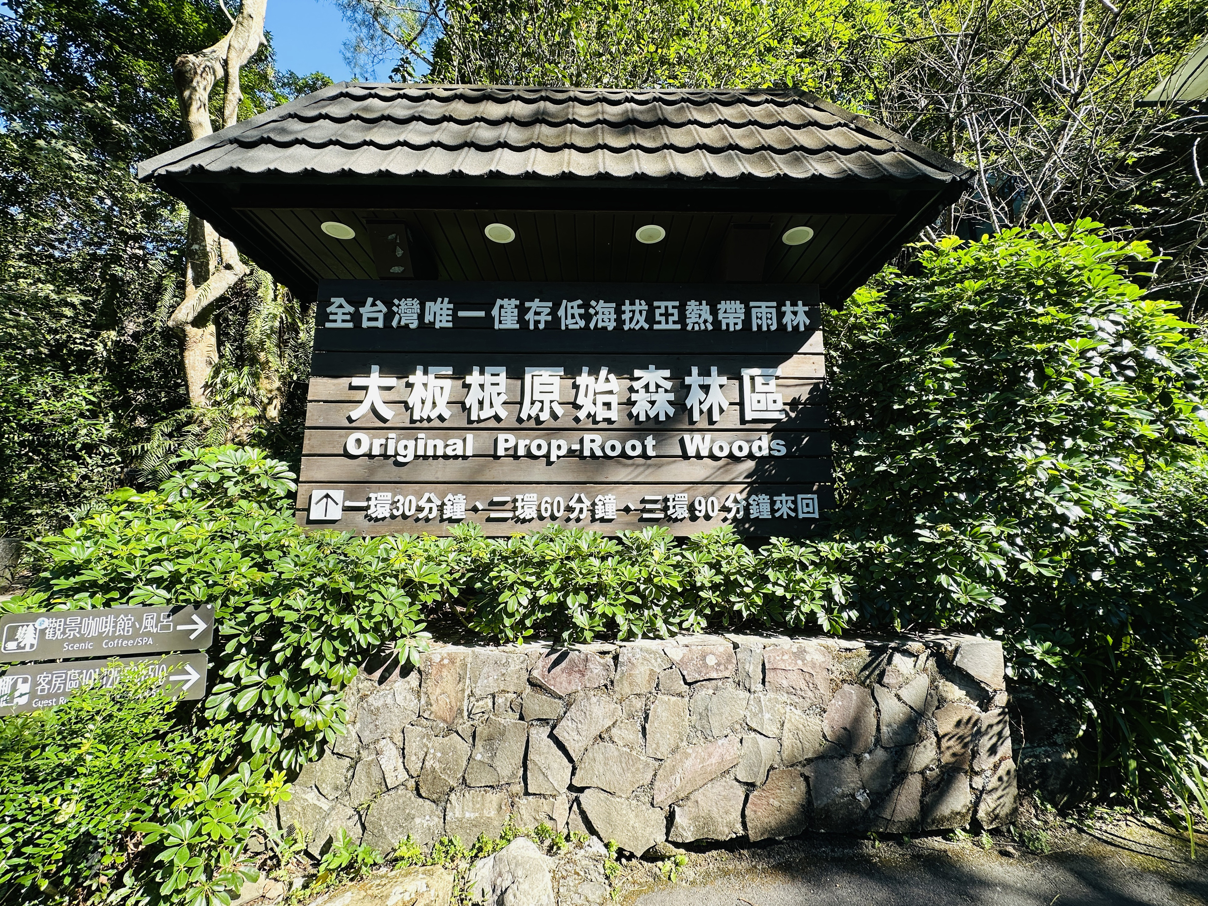 【大板根森林溫泉酒店】新北三峽寵物親子房入住開箱｜森林、溫泉