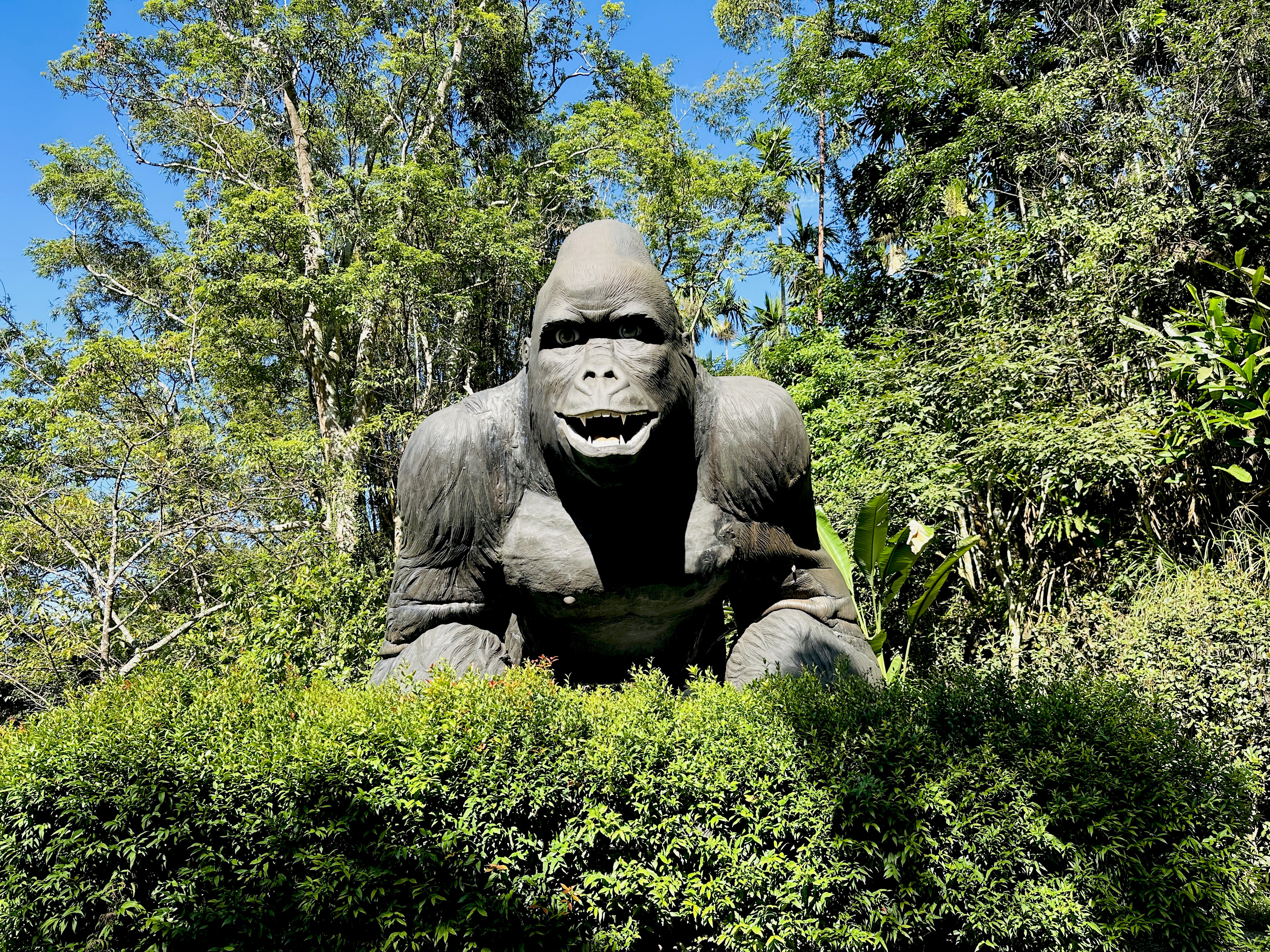 【大板根森林溫泉酒店】新北三峽寵物親子房入住開箱｜森林、溫泉