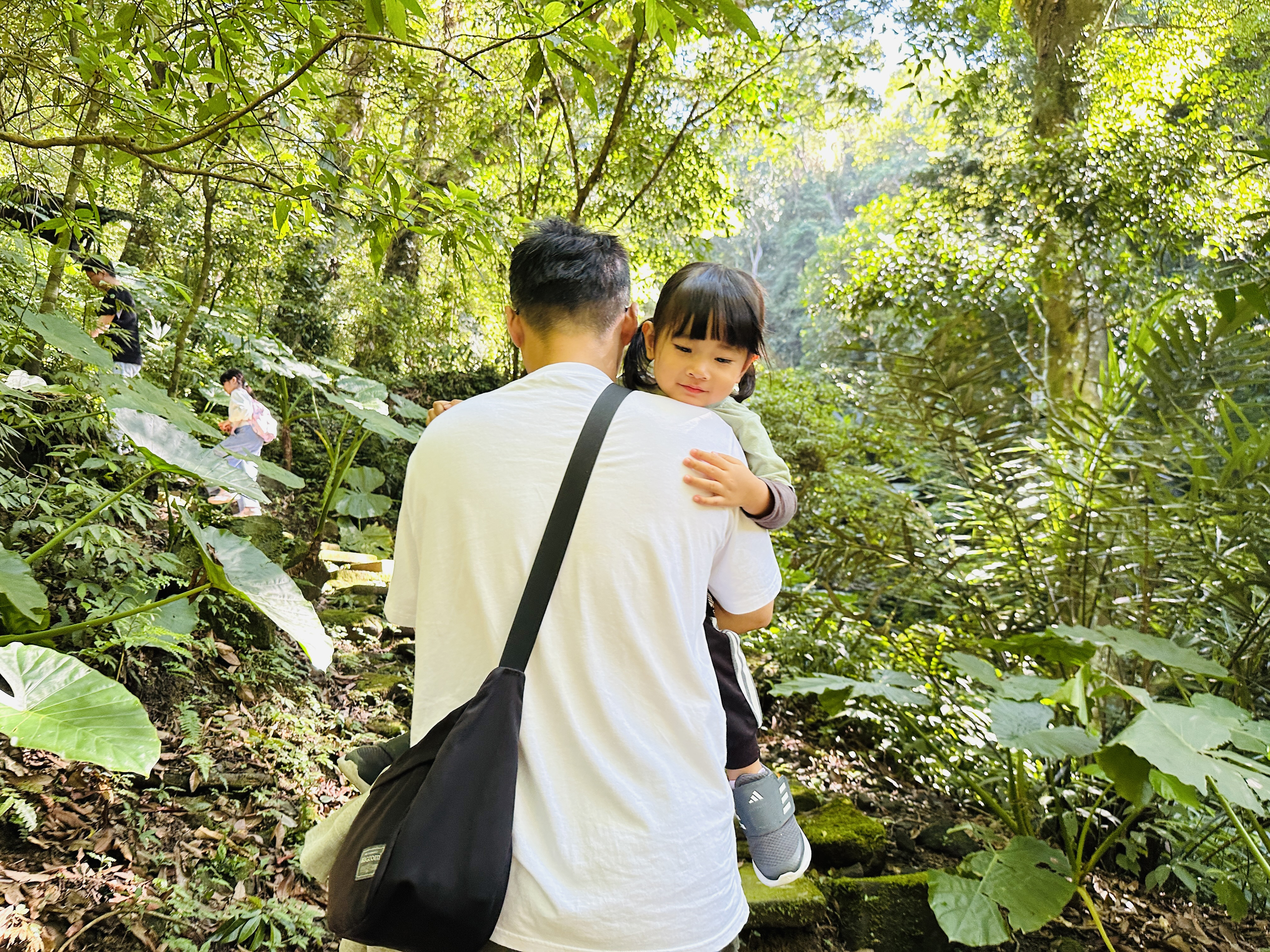 【大板根森林溫泉酒店】新北三峽寵物親子房入住開箱｜森林、溫泉