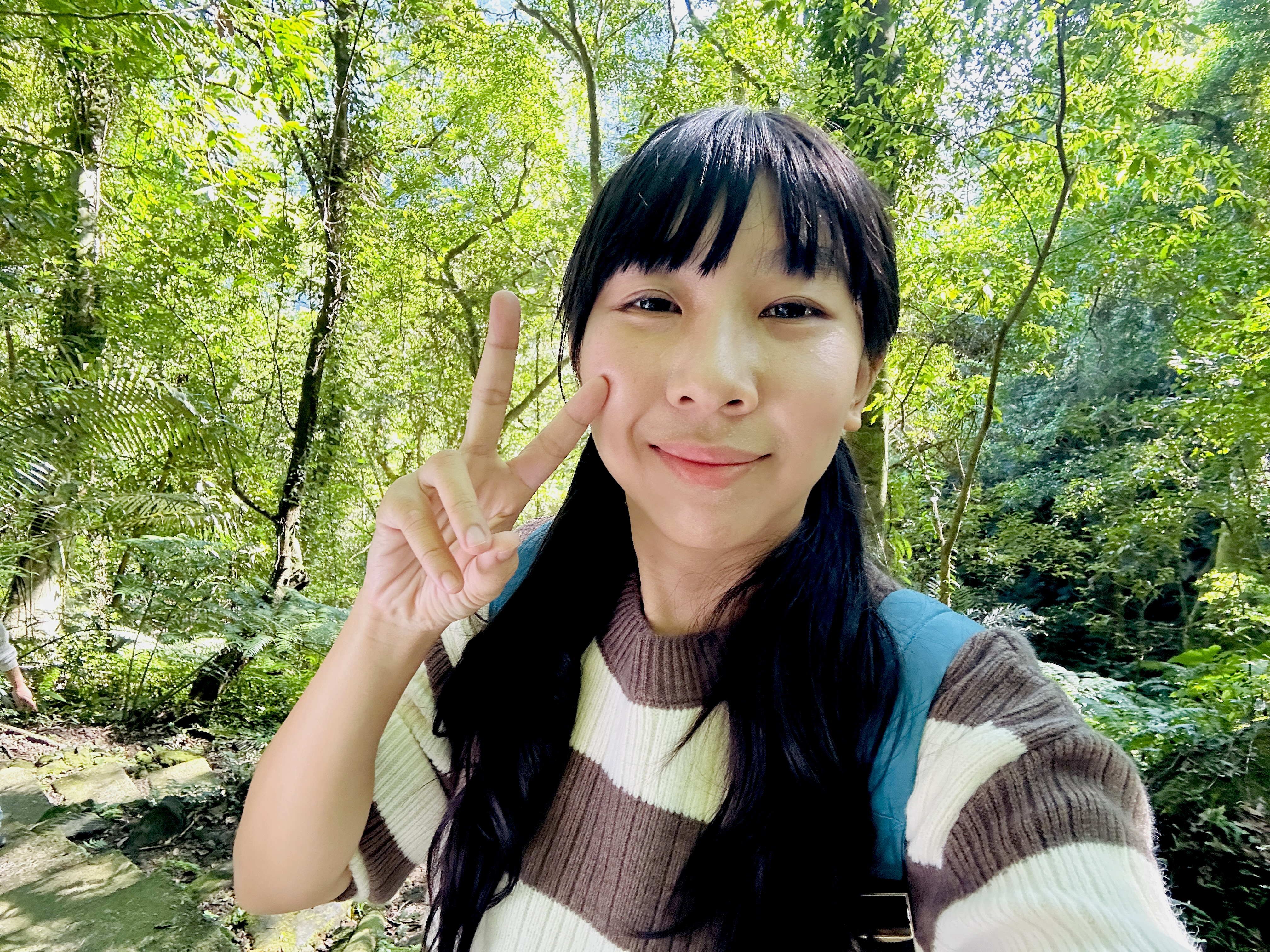 【大板根森林溫泉酒店】新北三峽寵物親子房入住開箱｜森林、溫泉