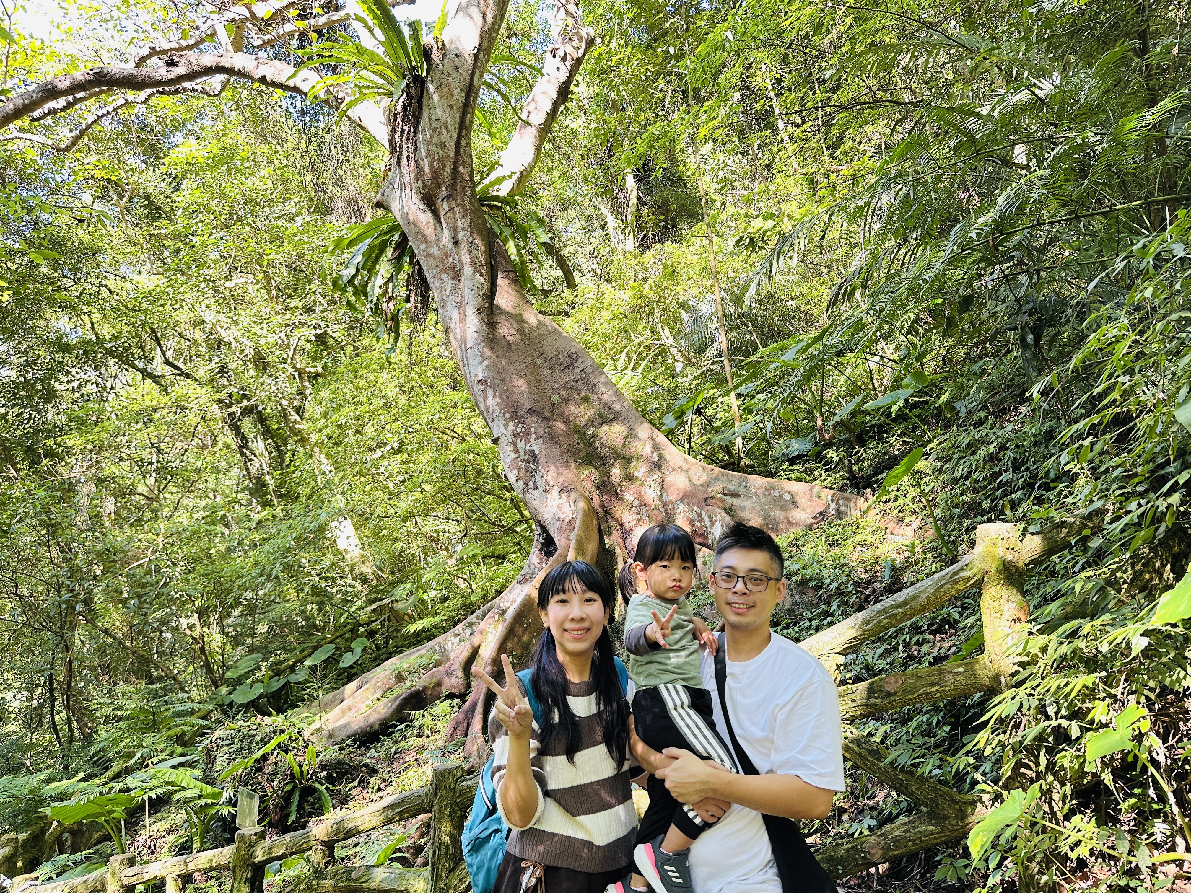 【大板根森林溫泉酒店】新北三峽寵物親子房入住開箱｜森林、溫泉