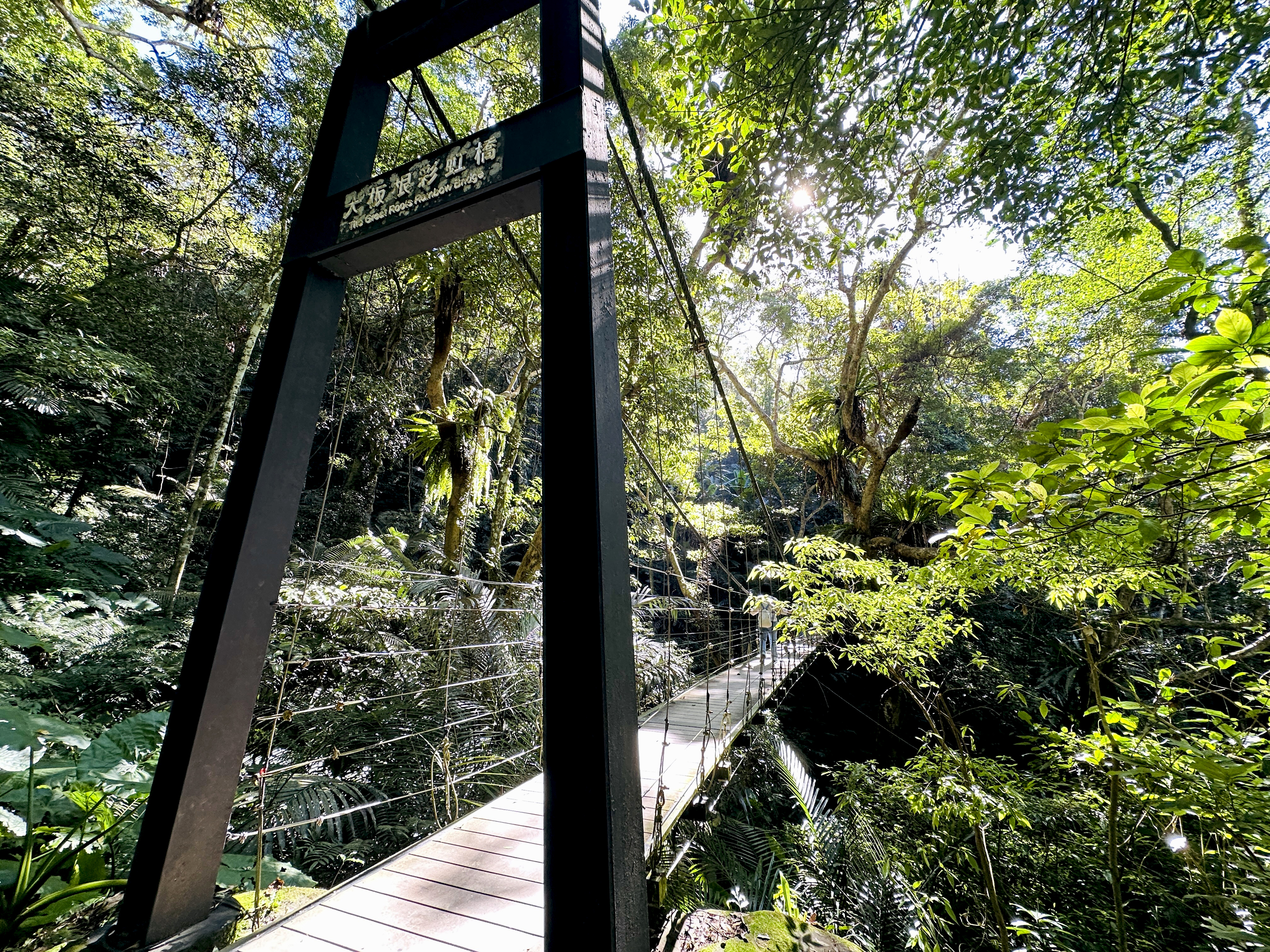 【大板根森林溫泉酒店】新北三峽寵物親子房入住開箱｜森林、溫泉