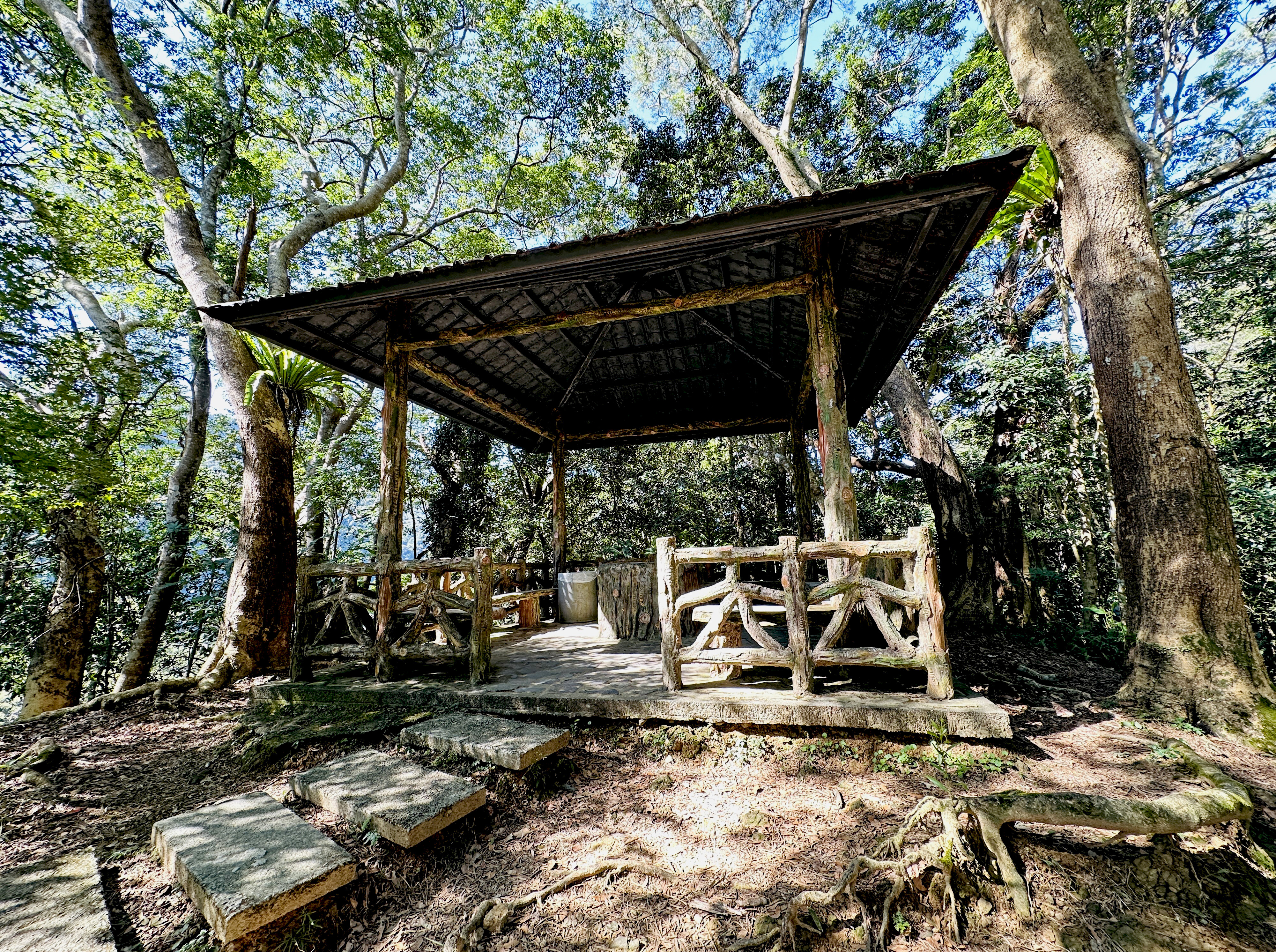 【大板根森林溫泉酒店】新北三峽寵物親子房入住開箱｜森林、溫泉