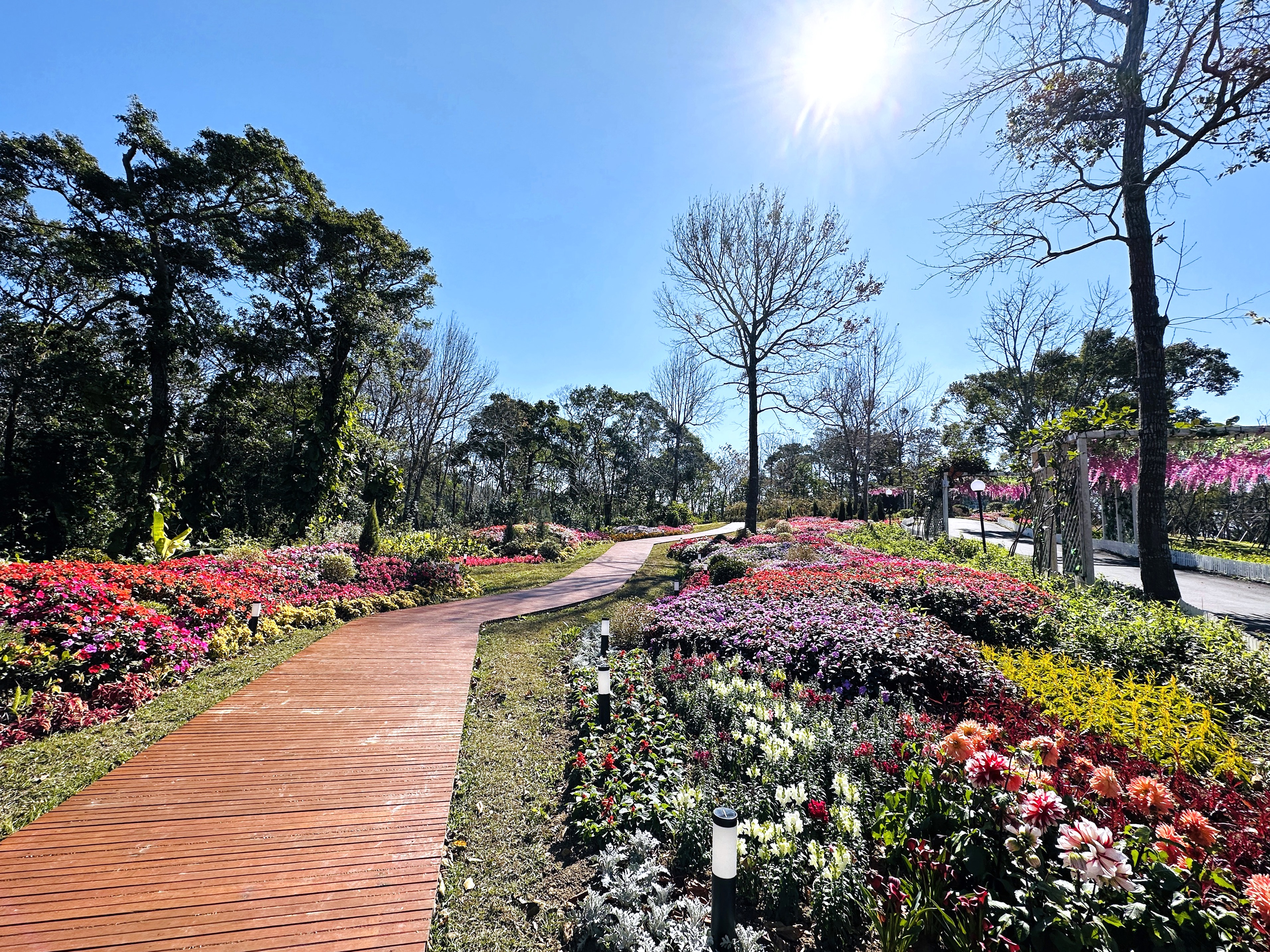 【西湖渡假村】一泊三食特惠住宿方案│動態實境恐龍特展震撼登場